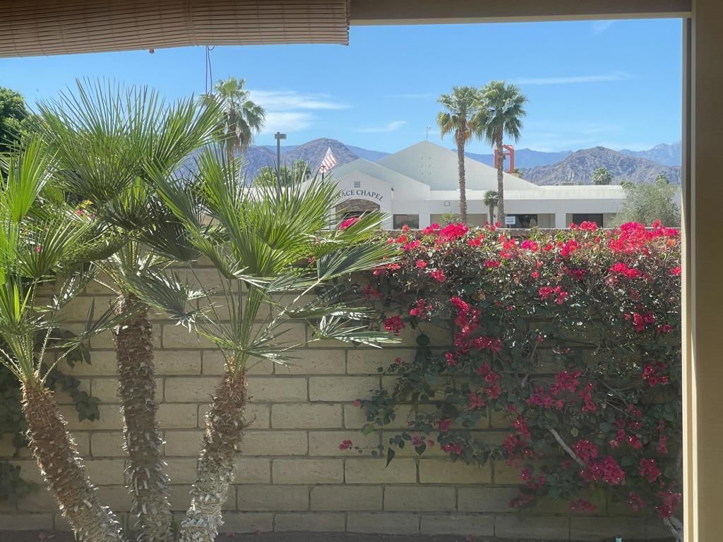48291 Panorama, Indio