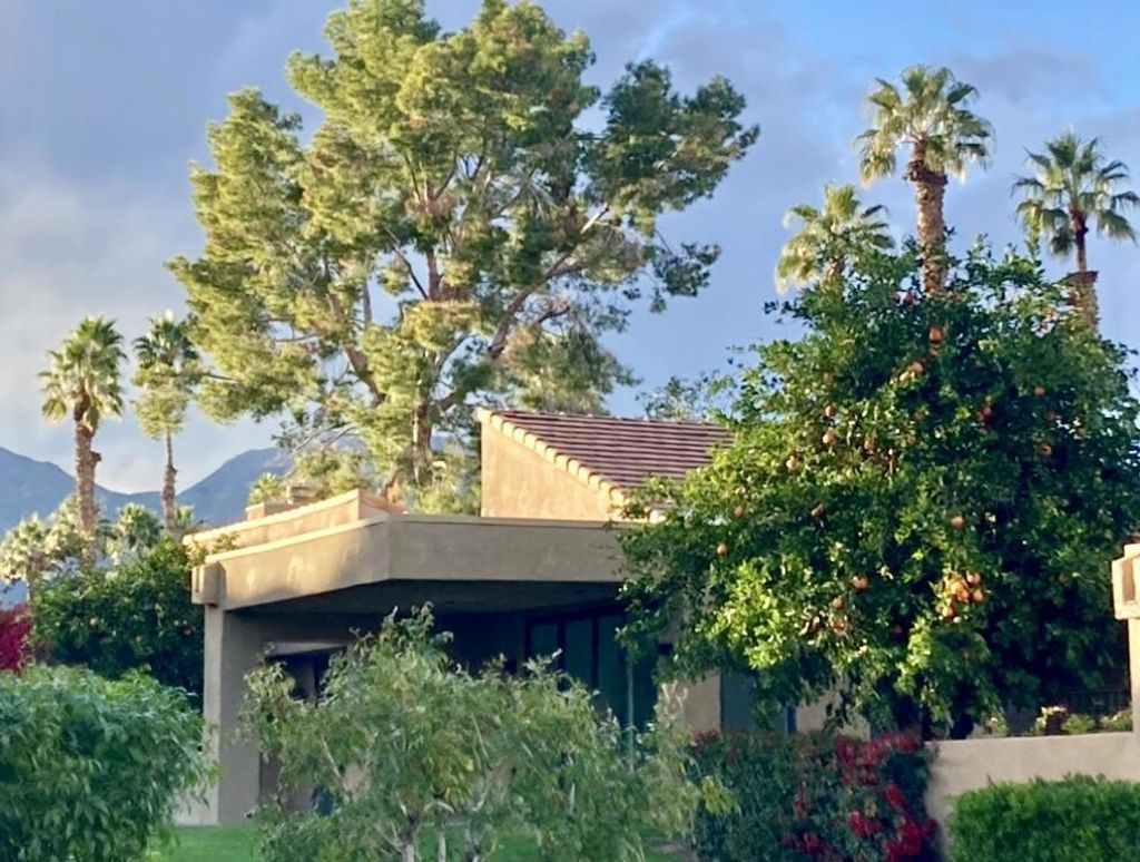 73323 Boxthorn Lane, Palm Desert