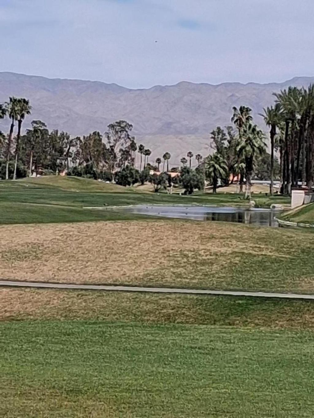 114 Alcola Circle, Palm Desert