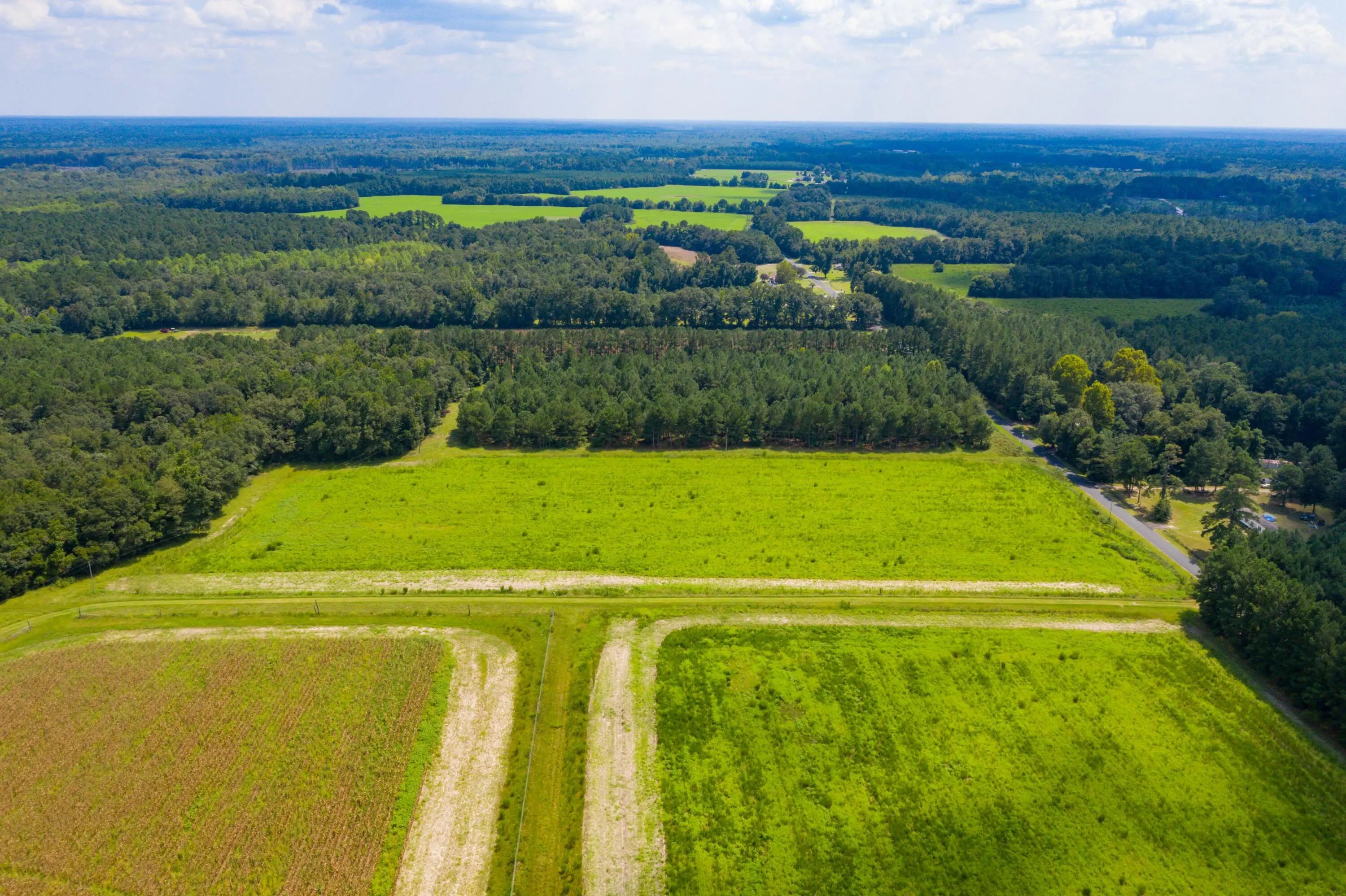 Adnah Church Road, Islandton, SC, 29929
