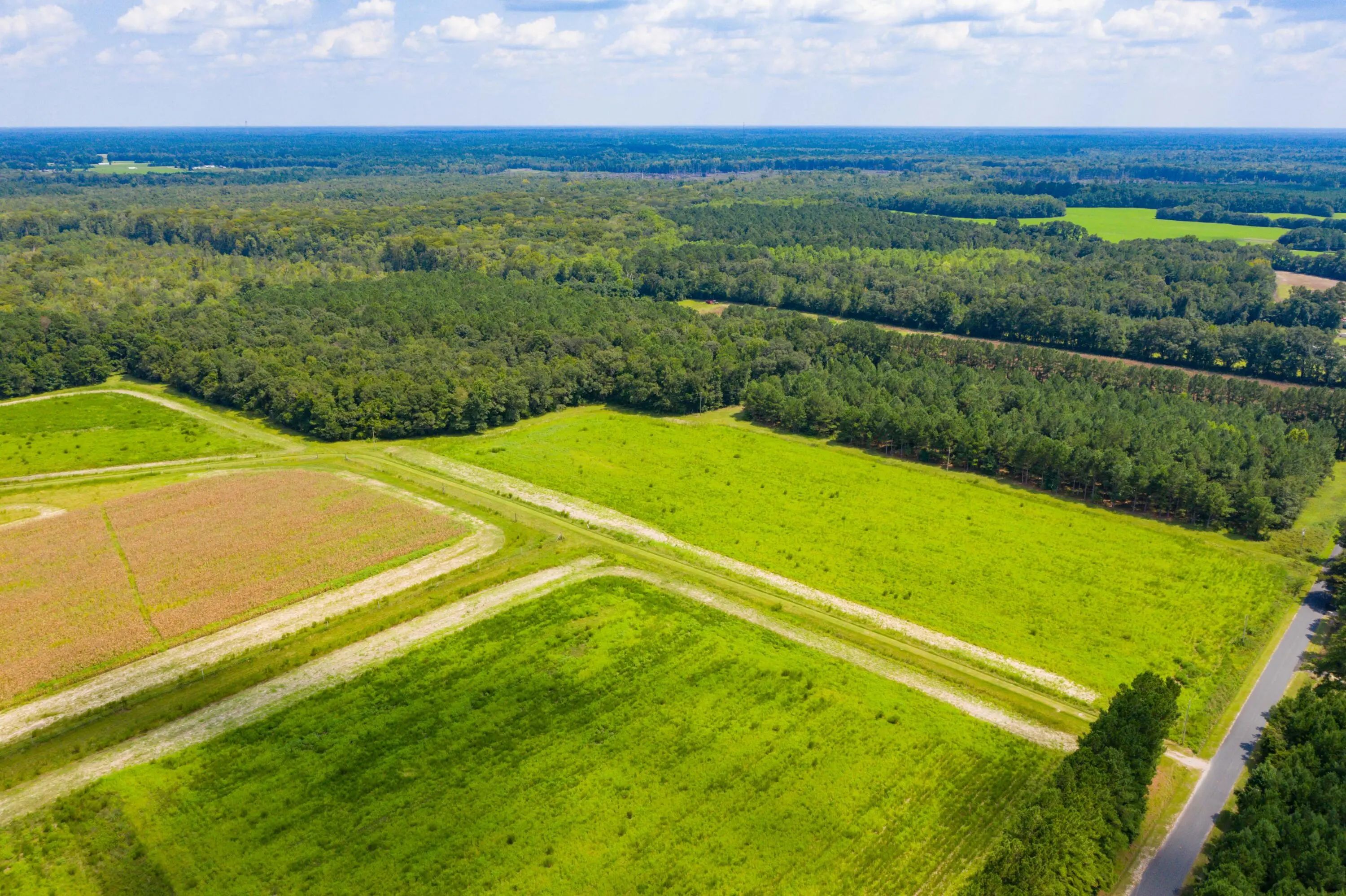 Adnah Church Road, Islandton, SC, 29929