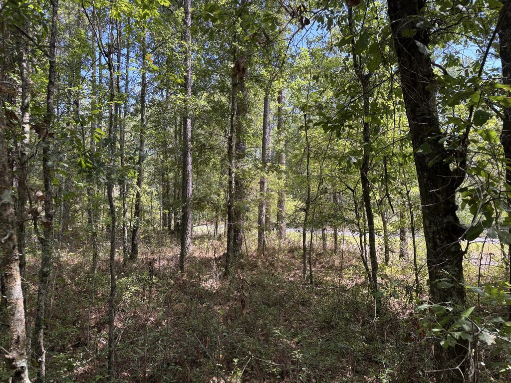 Tbd Red Oak Road, Cottageville