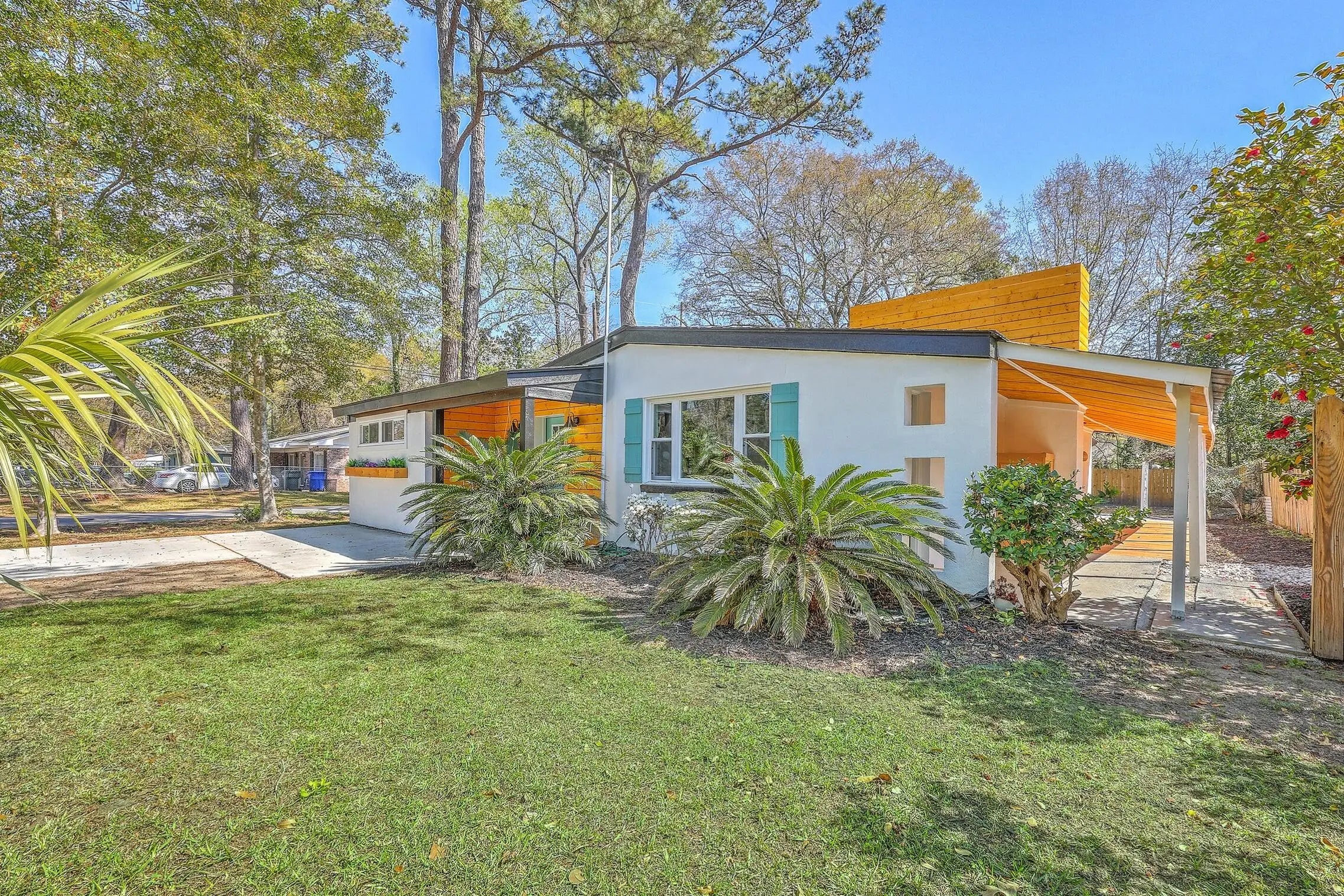 Photo of Listing #25025599