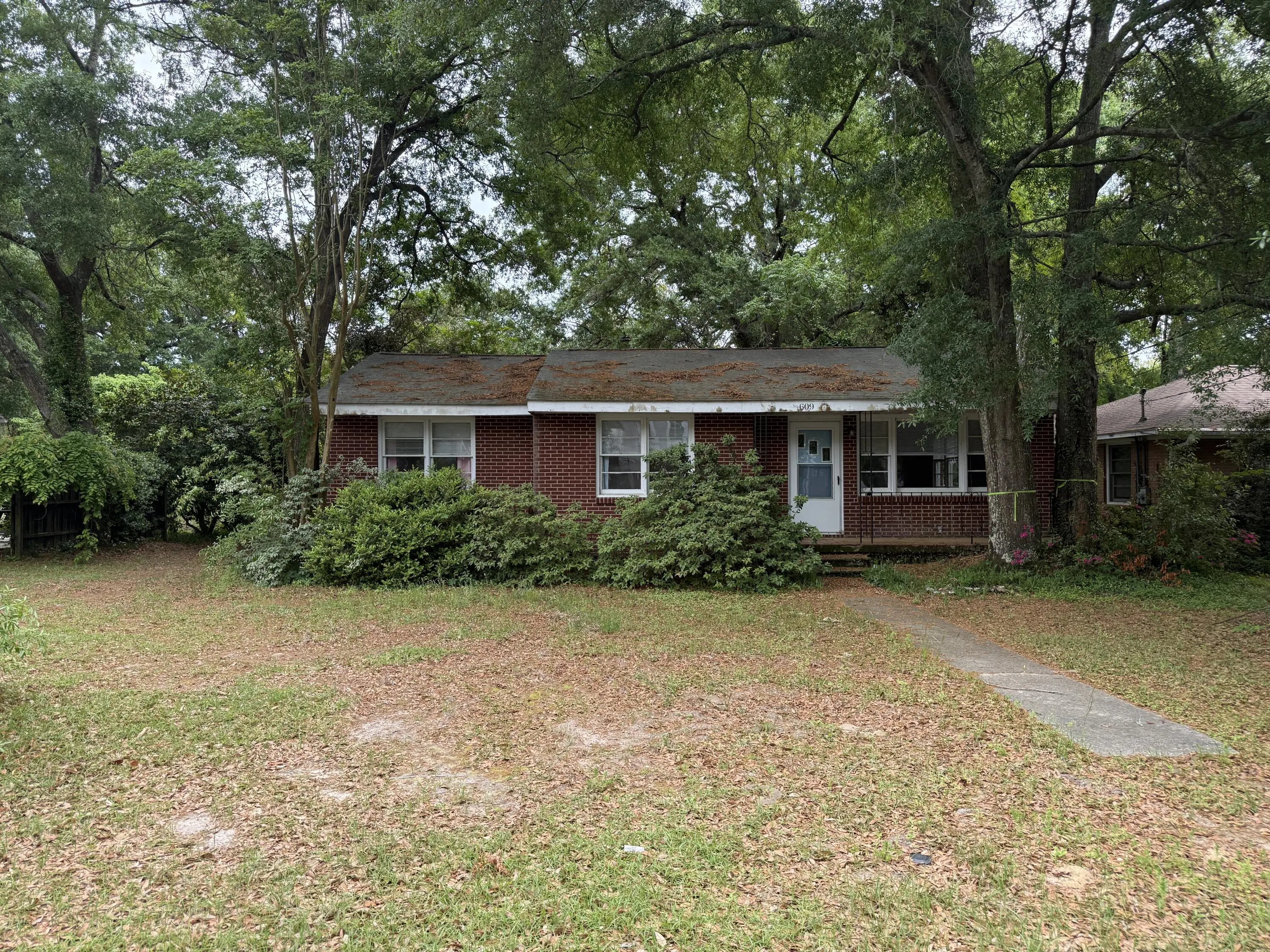 Photo of Listing #25011359