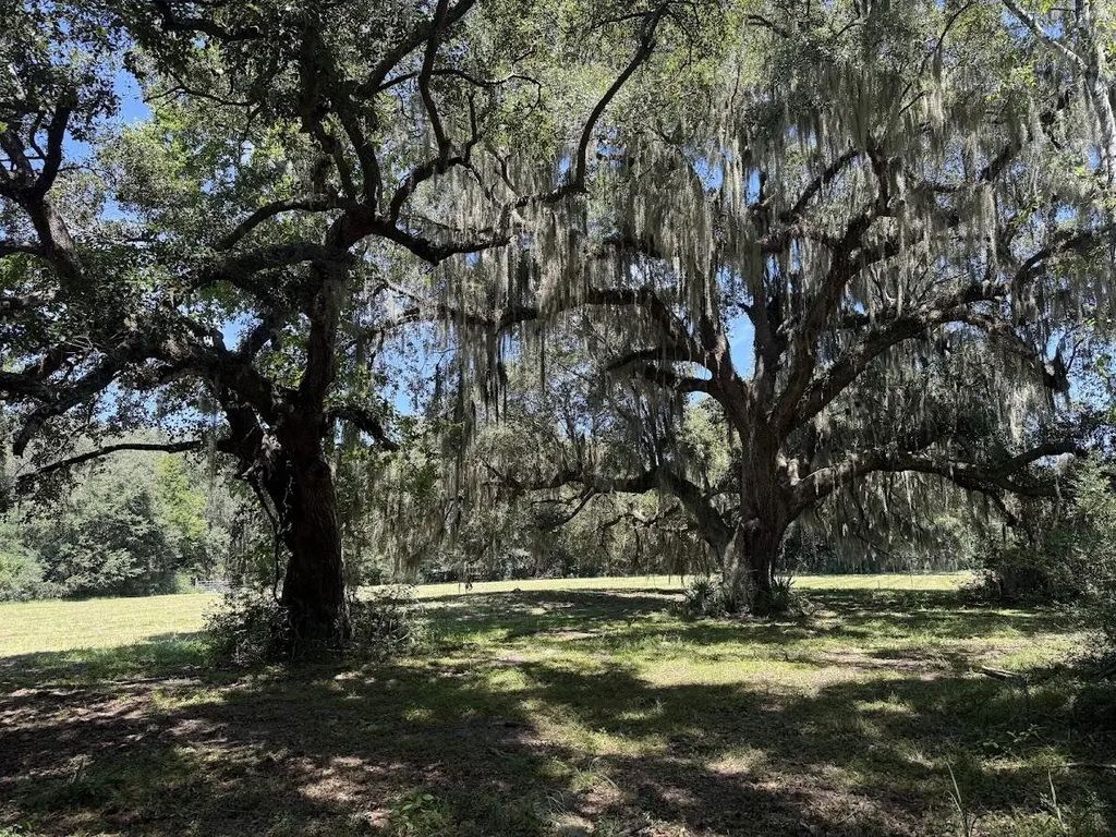 7817 Little Britton Road(lot C-1-a), Meggett