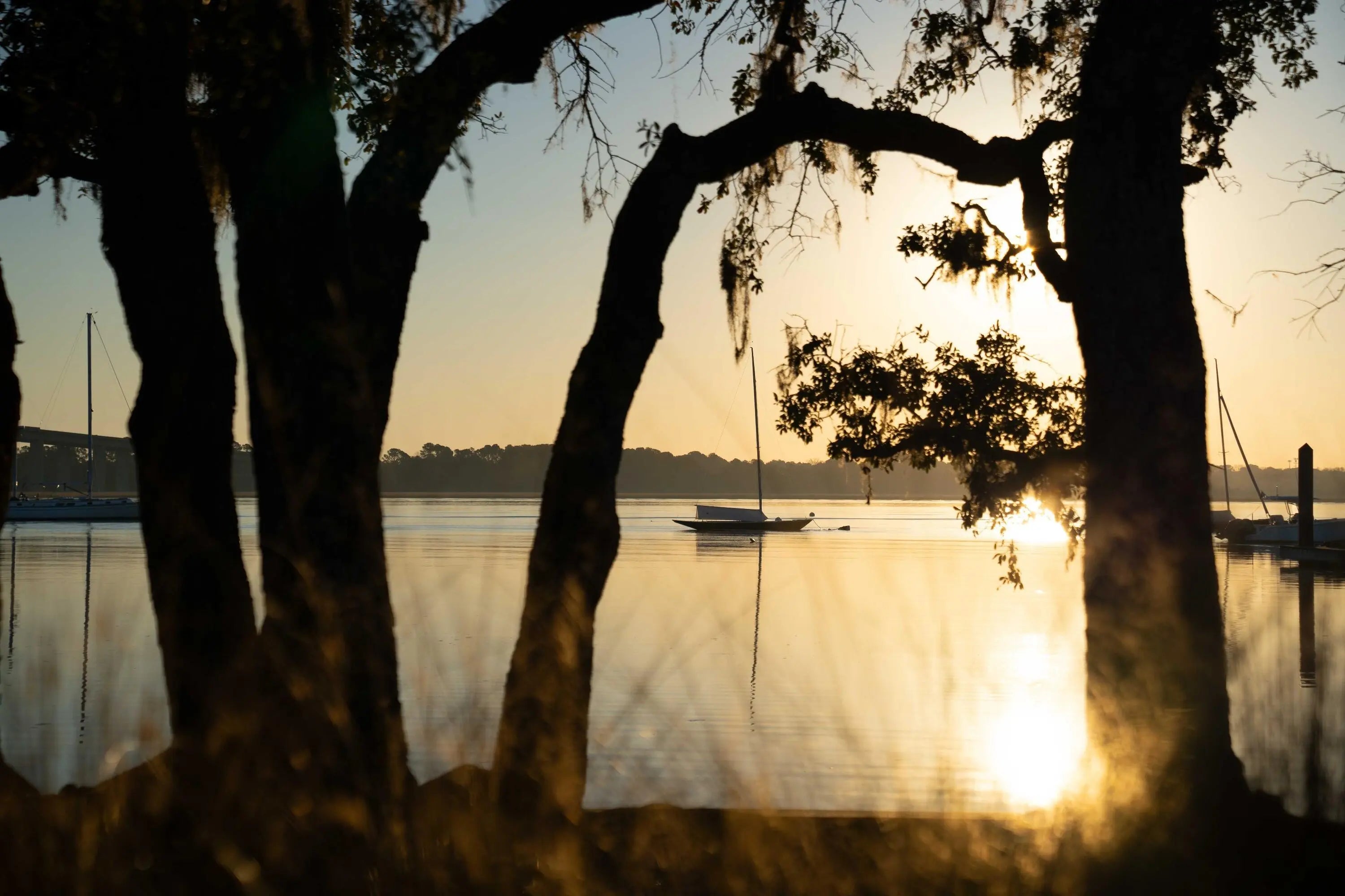 332 Bayley Road, Daniel Island, SC, 29492