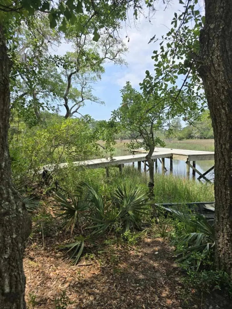 Photo of Listing #25013971