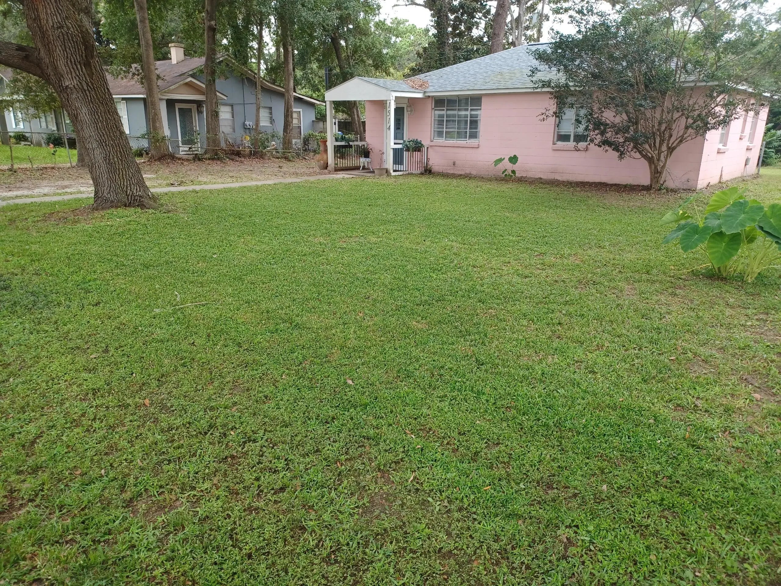 Photo of Listing #25014677