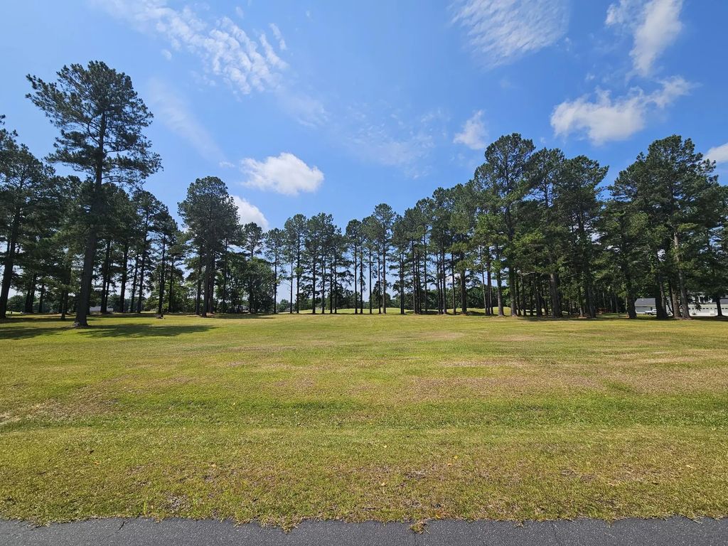 423 Pinelake Court, Manning