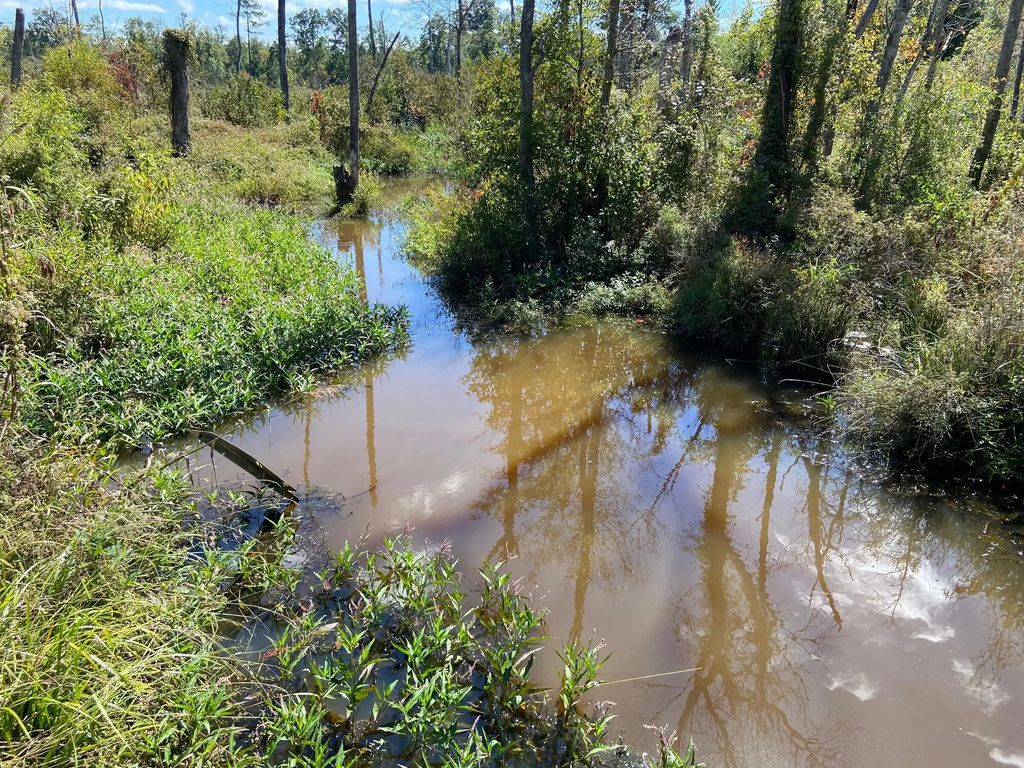 Todd Creek Rd And Wisp Rd, Neeses