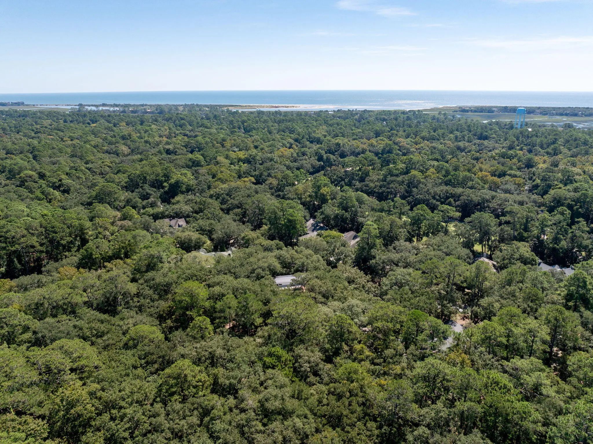 2824 Dove Nest Court, Seabrook Island, SC, 29455