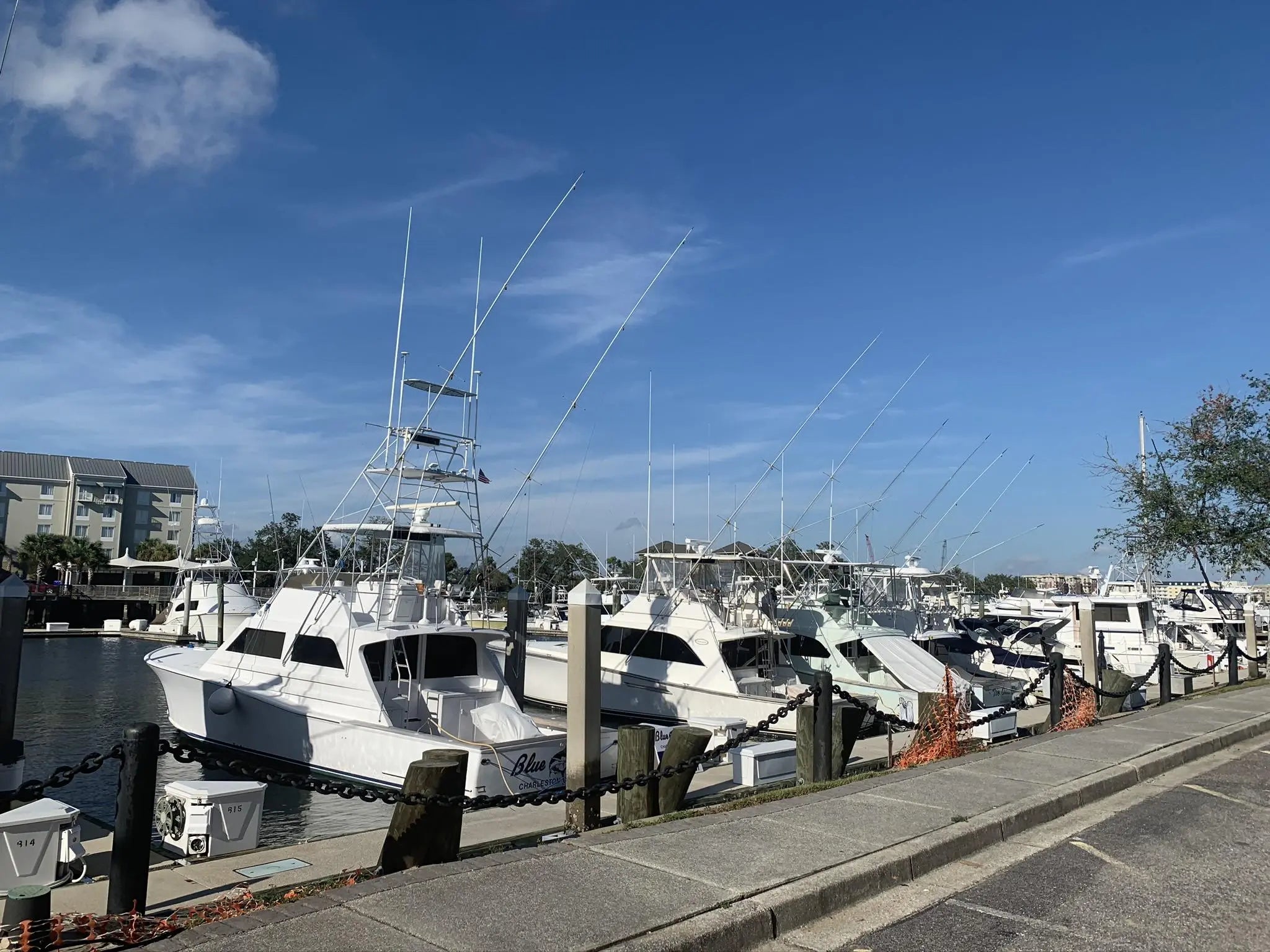 Photo of Listing #25003282