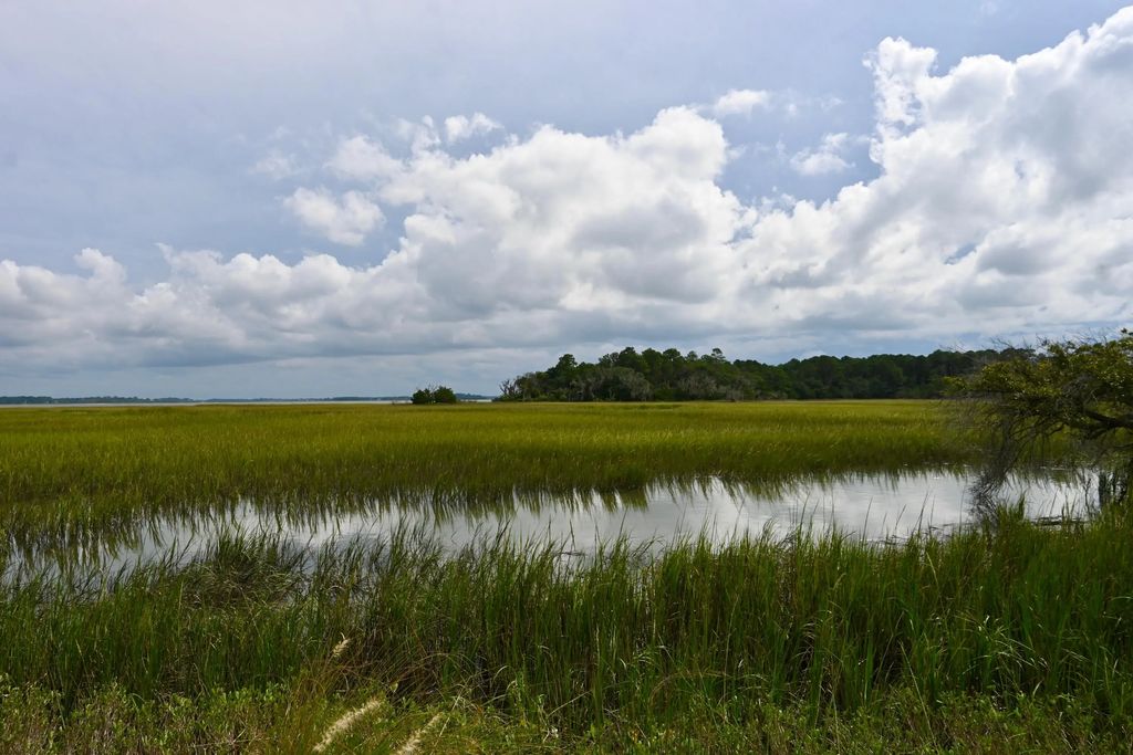 #18 Hopkins Place Drive 18, Edisto Island