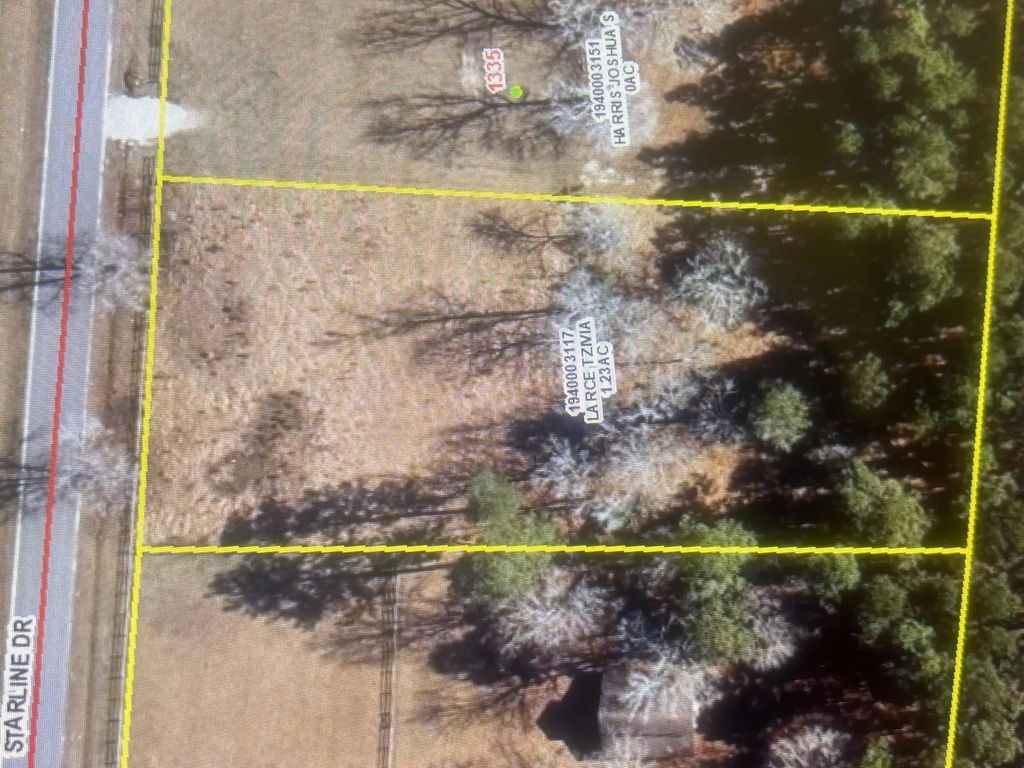 1341 Starline Drive, Summerville