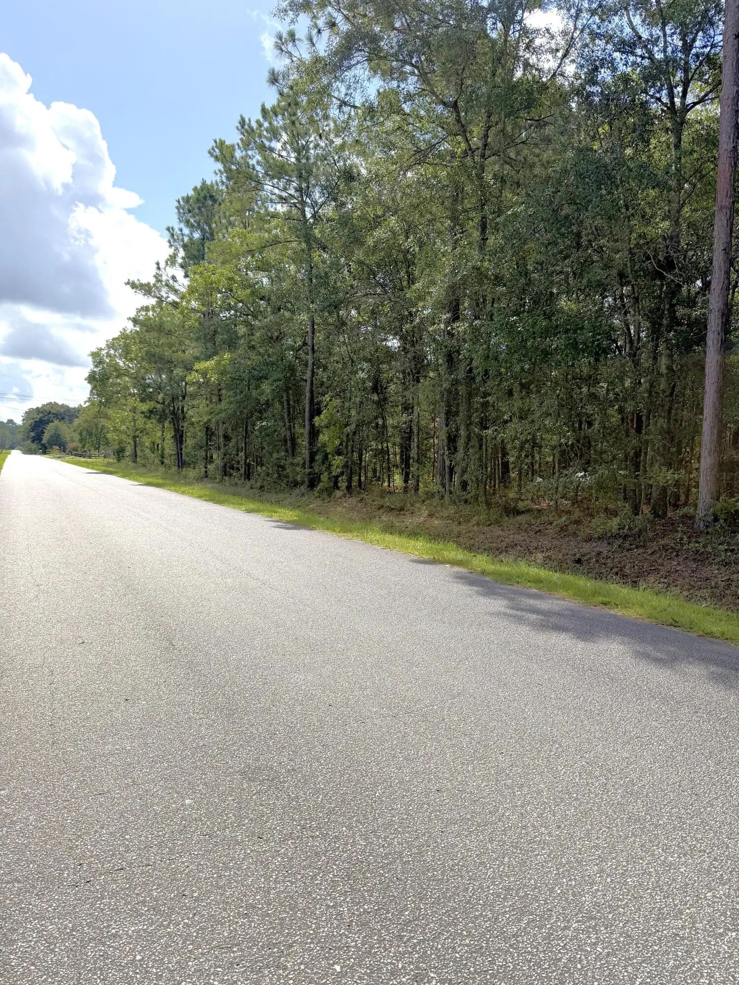 90 Honey Drive, Walterboro, SC, 29488