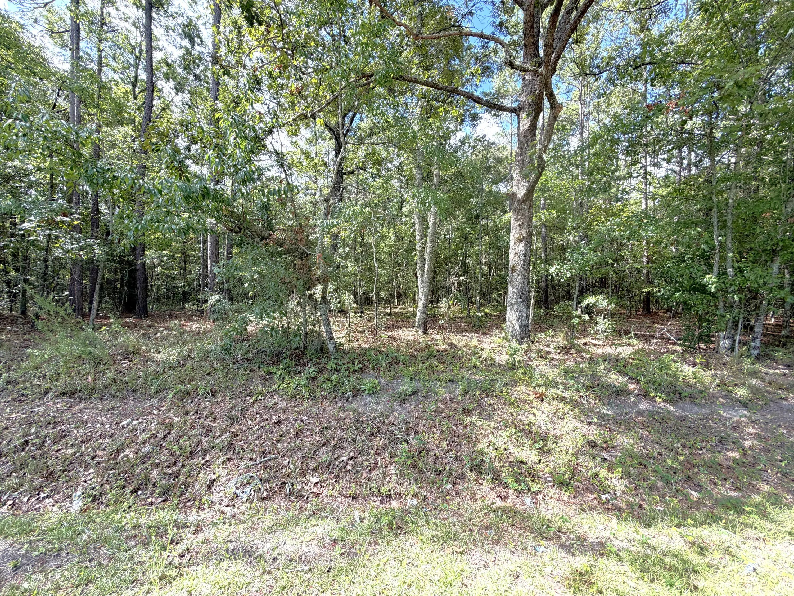 90 Honey Drive, Walterboro, SC, 29488