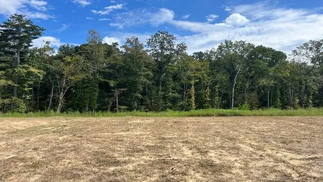 Photo of Listing #25026746