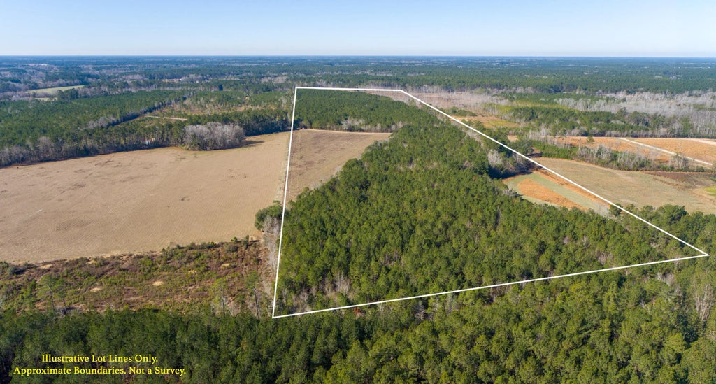 Hiotts Pond, Walterboro