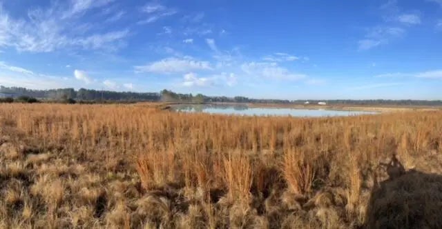 Photo of 765 Percy Lane, Ridgeville SC