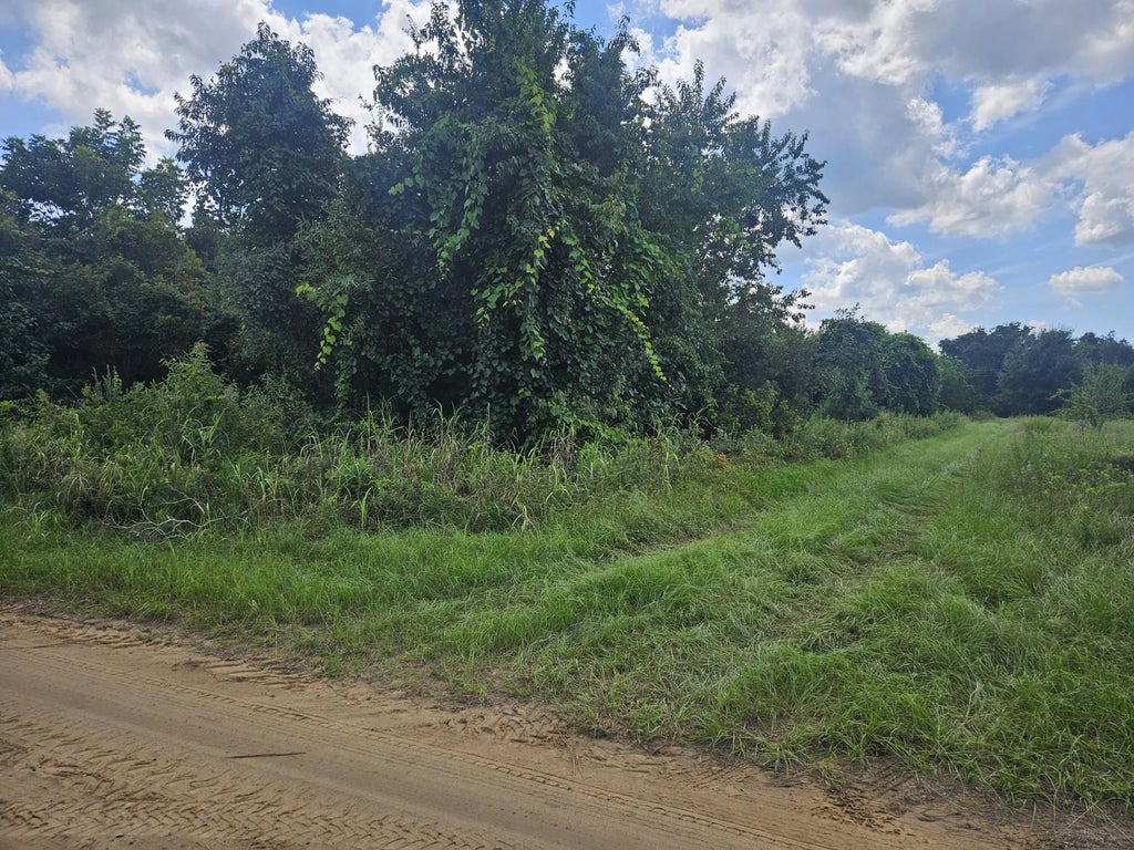 Jenkins Farm Road, Johns Island