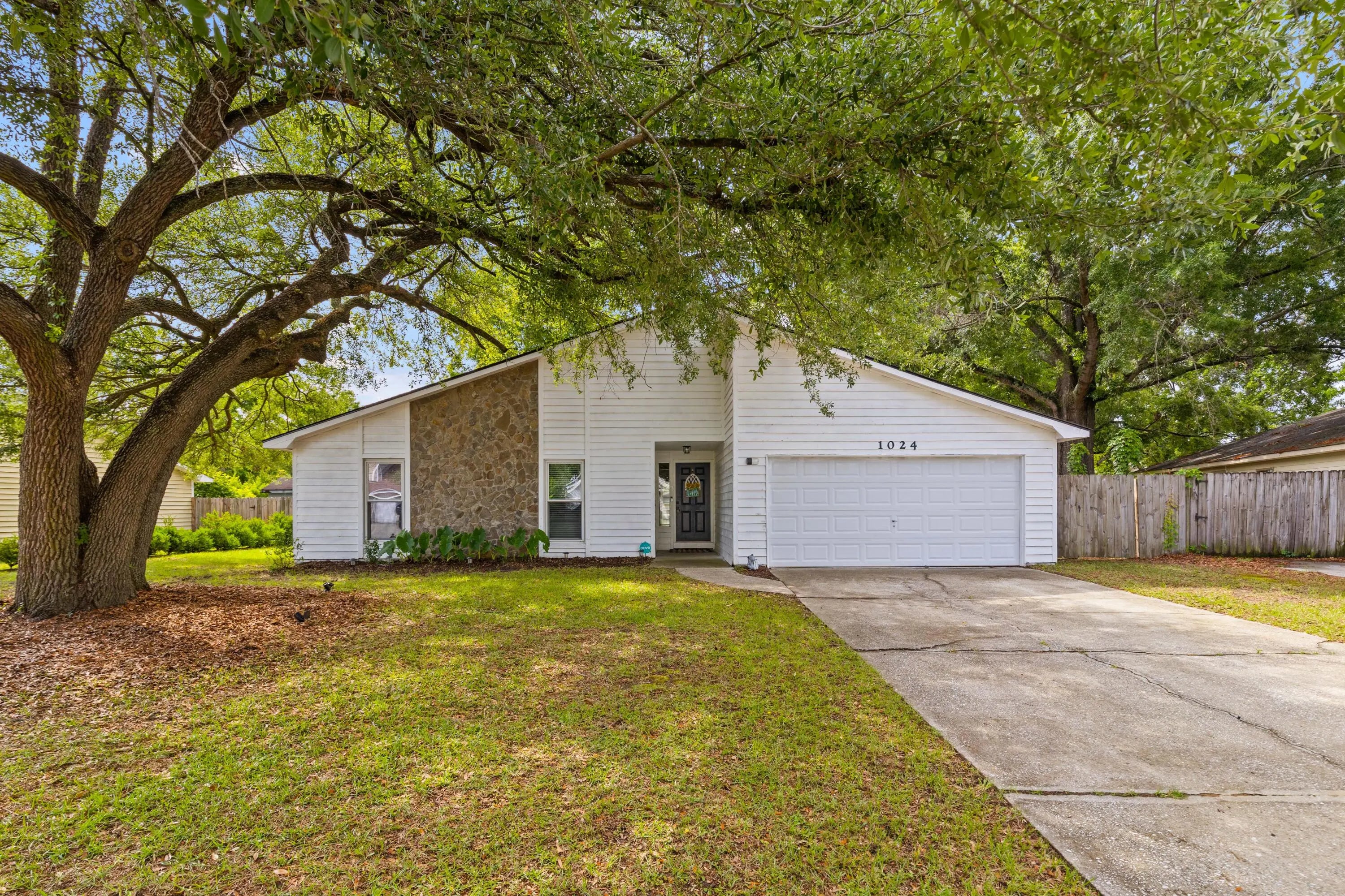 Photo of Listing #25013054