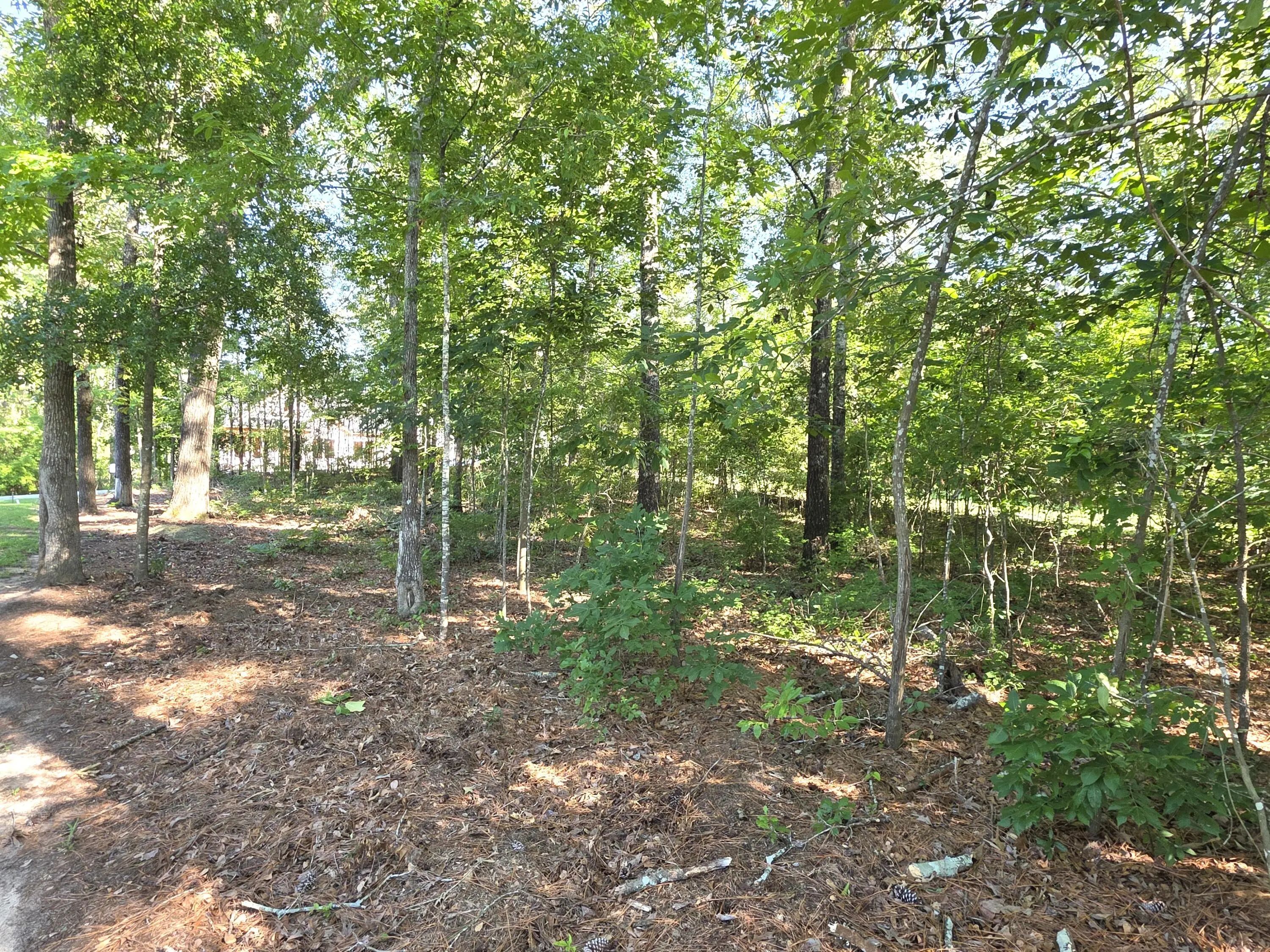 620 Plantation Drive, Santee, SC, 29142