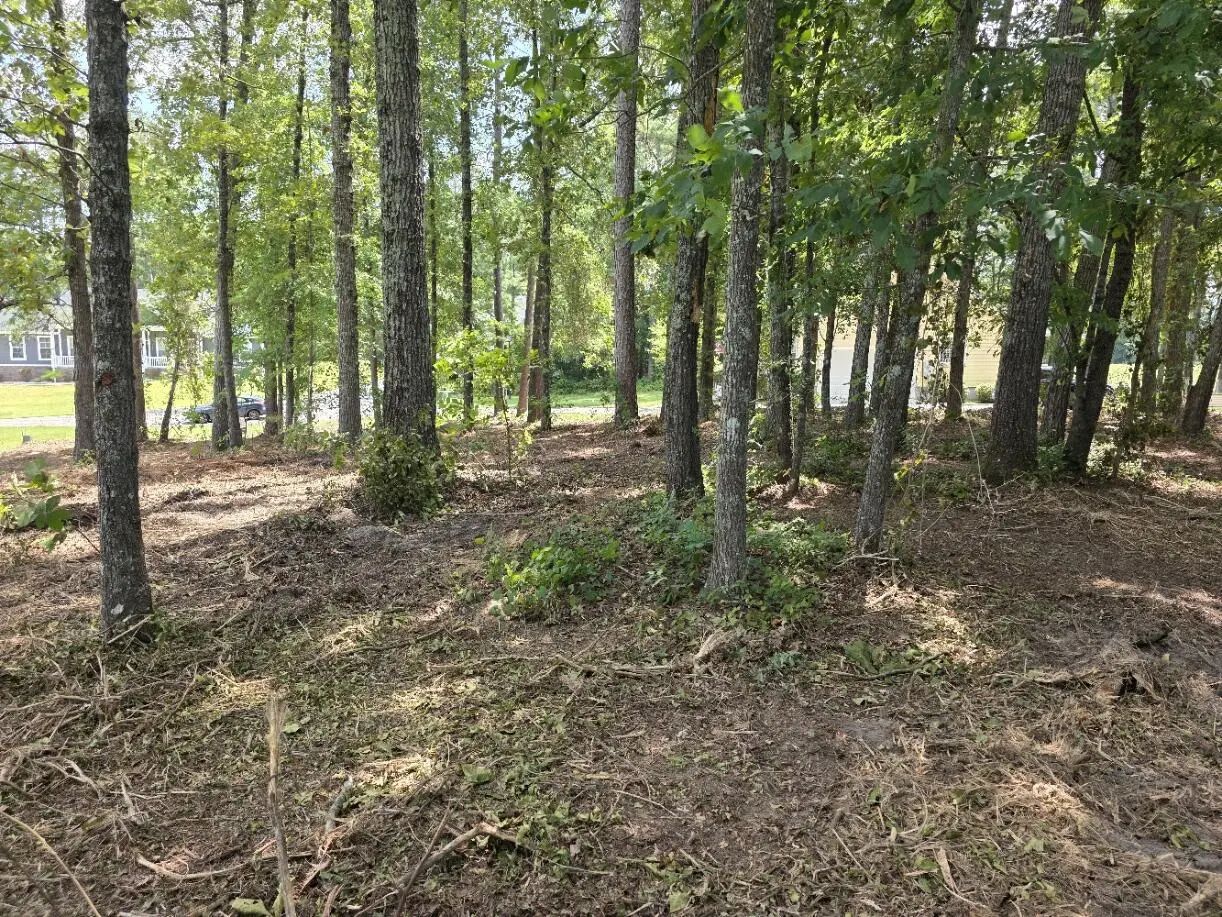 620 Plantation Drive, Santee, SC, 29142
