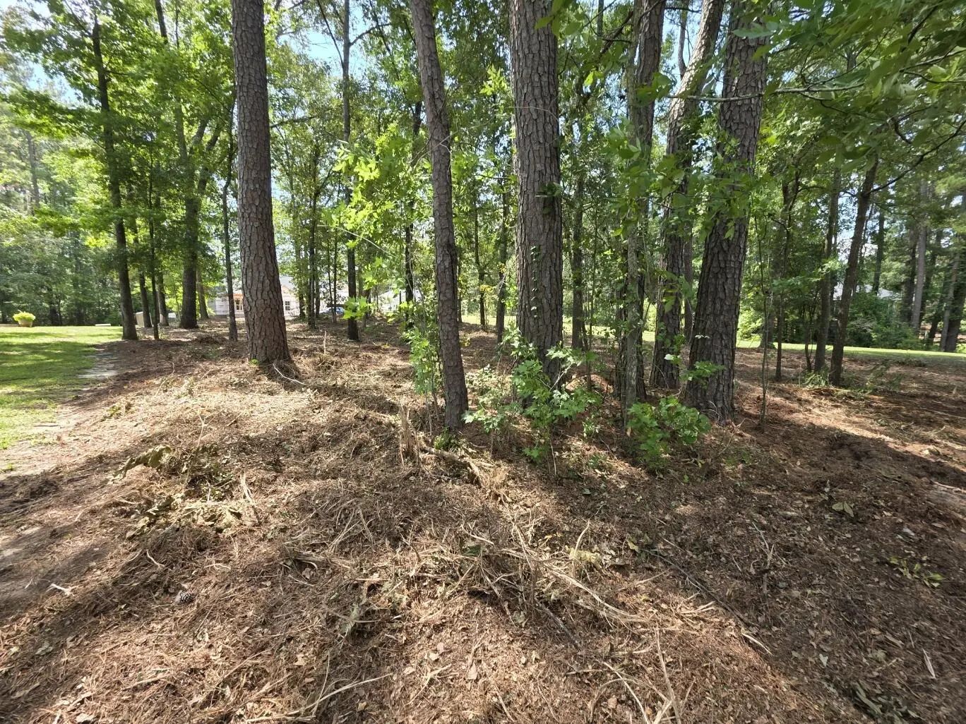 620 Plantation Drive, Santee, SC, 29142