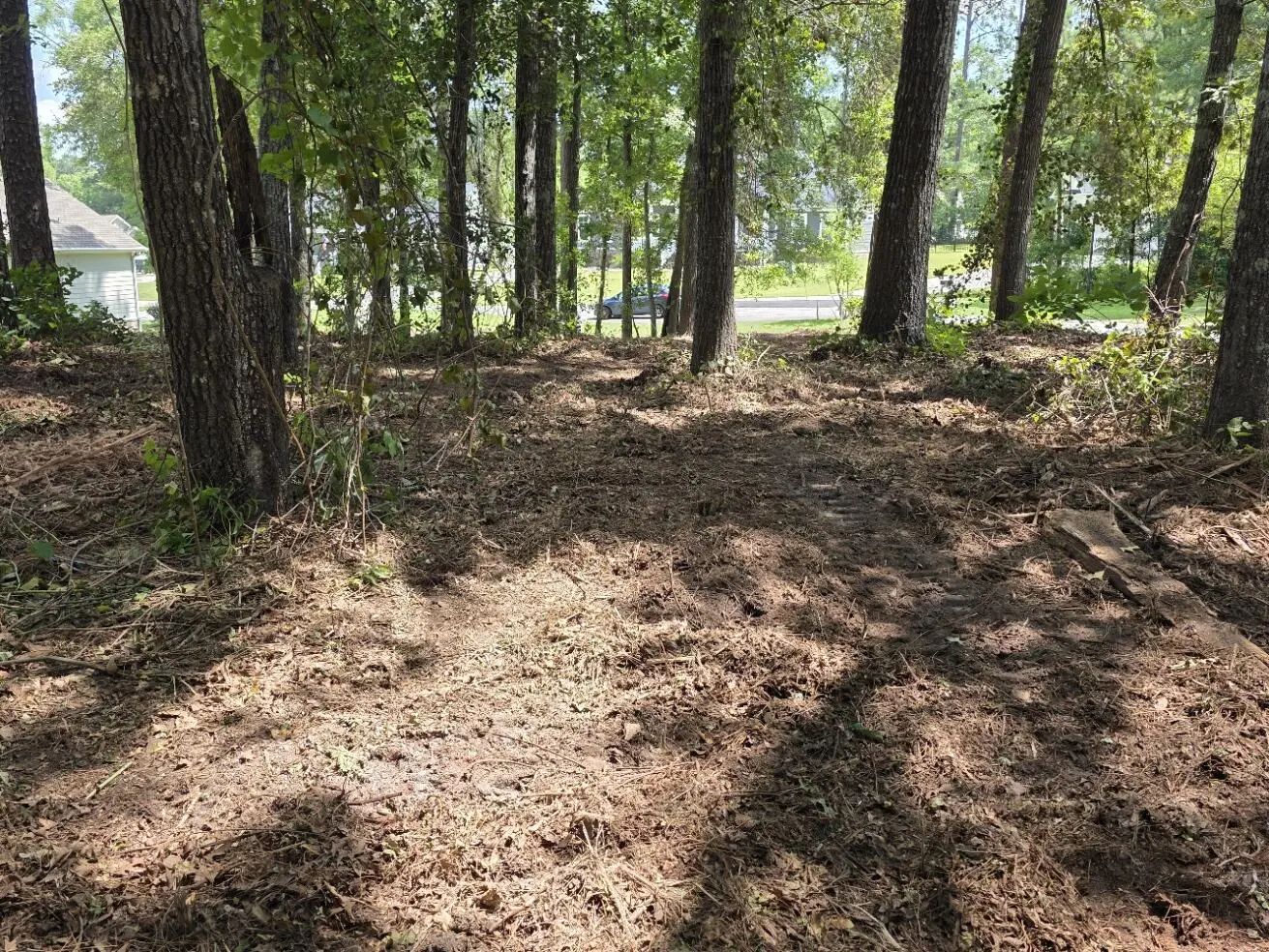 620 Plantation Drive, Santee, SC, 29142