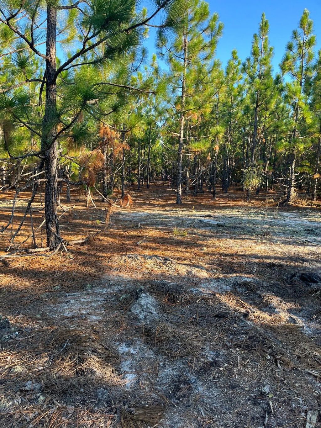 Ppf 17 Payne Pond Road Ppf 17, Westville