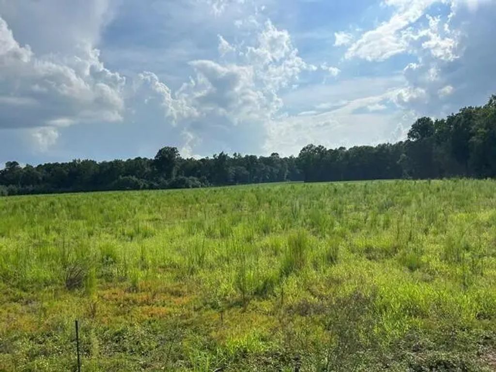 Lot 2 7 Mile Road, Harleyville