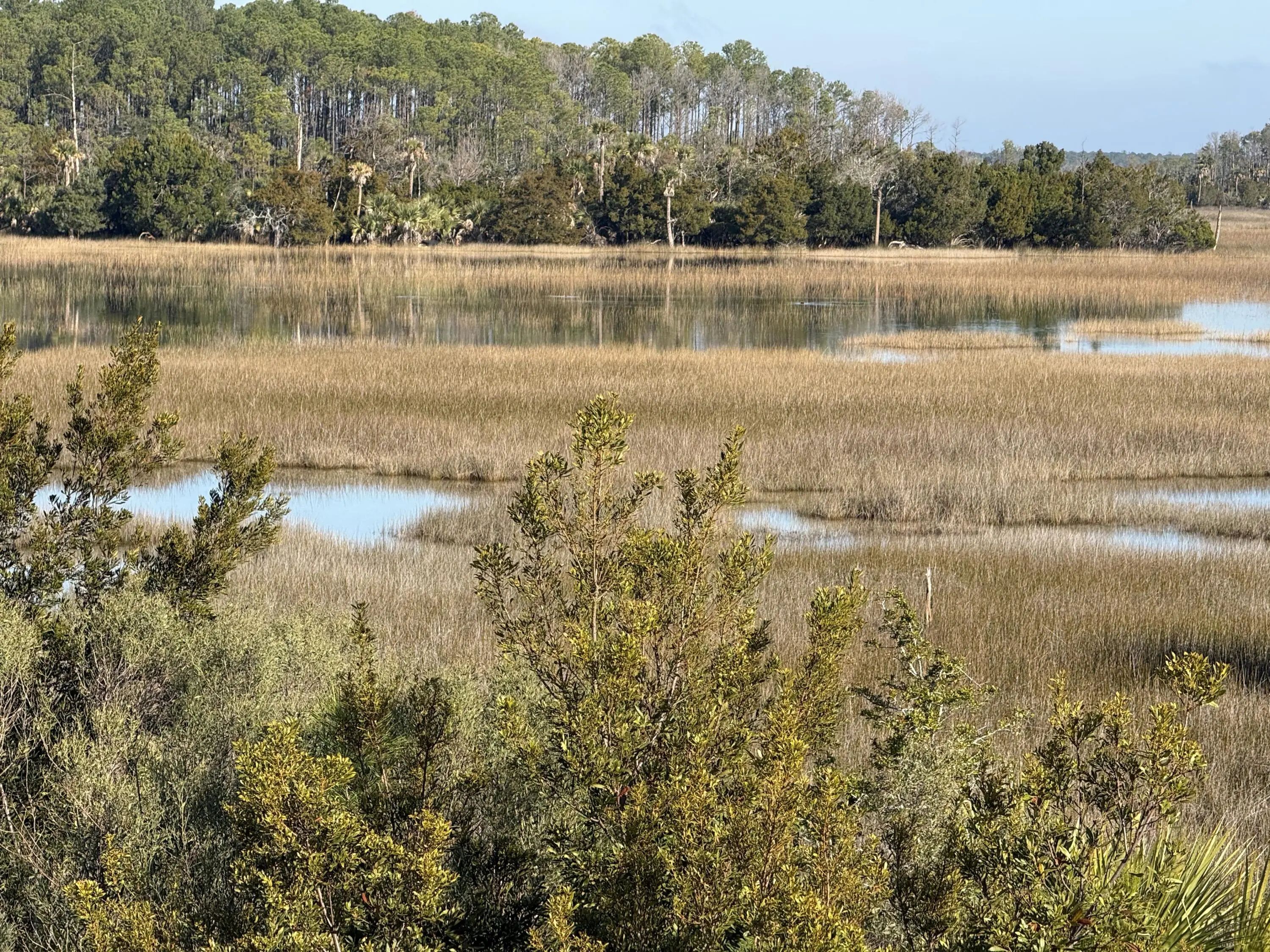 280 Captain Goddard Road, Daniel Island, SC, 29492