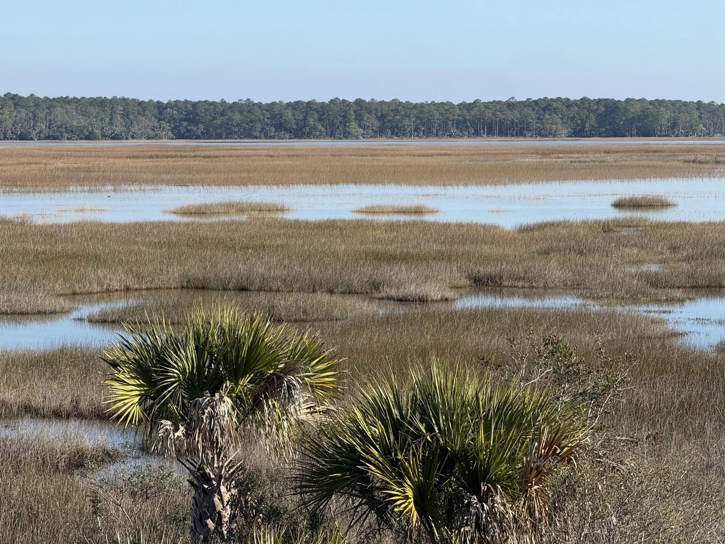 280 Captain Goddard Road, Daniel Island, SC, 29492