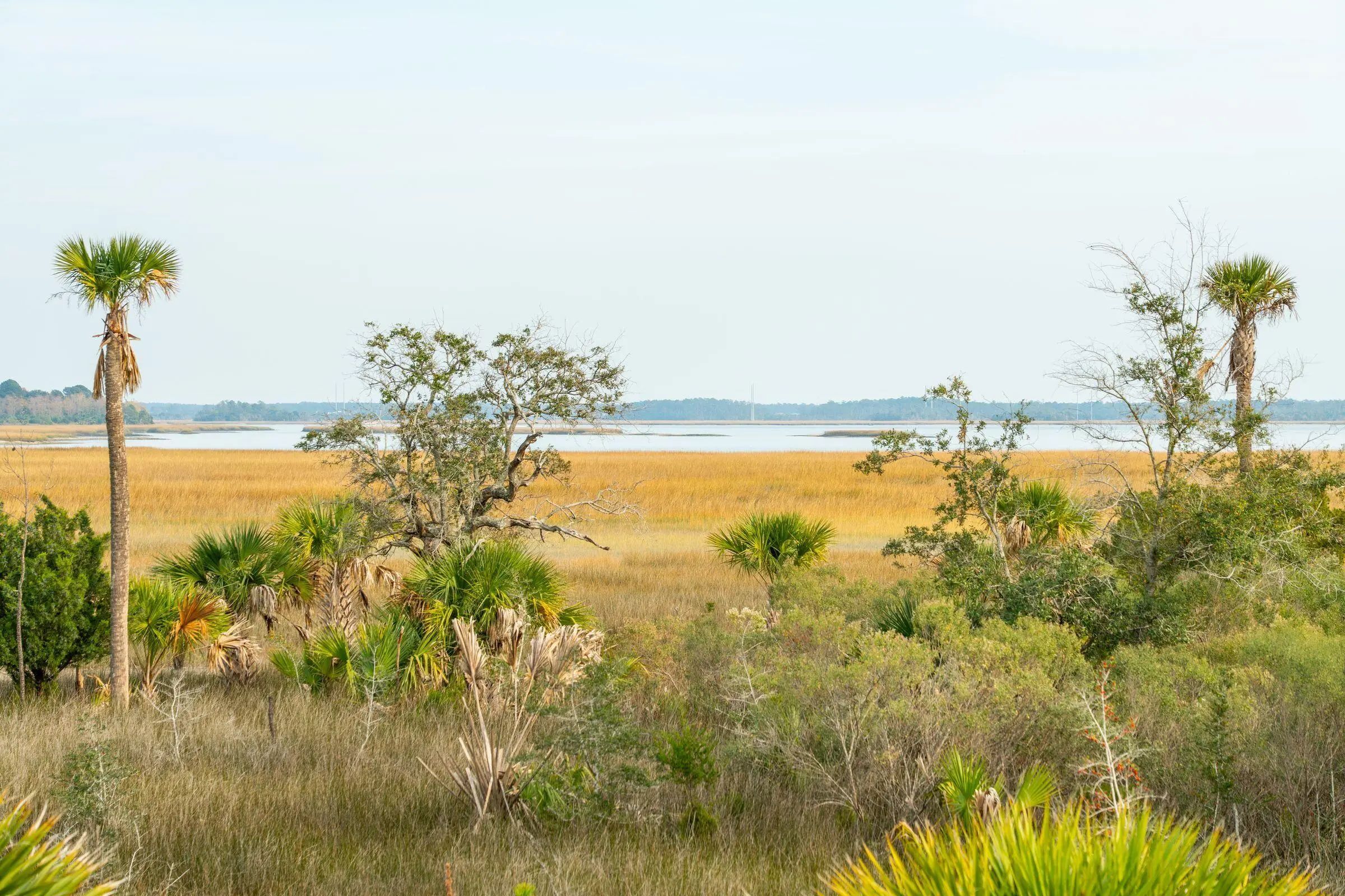 280 Captain Goddard Road, Daniel Island, SC, 29492