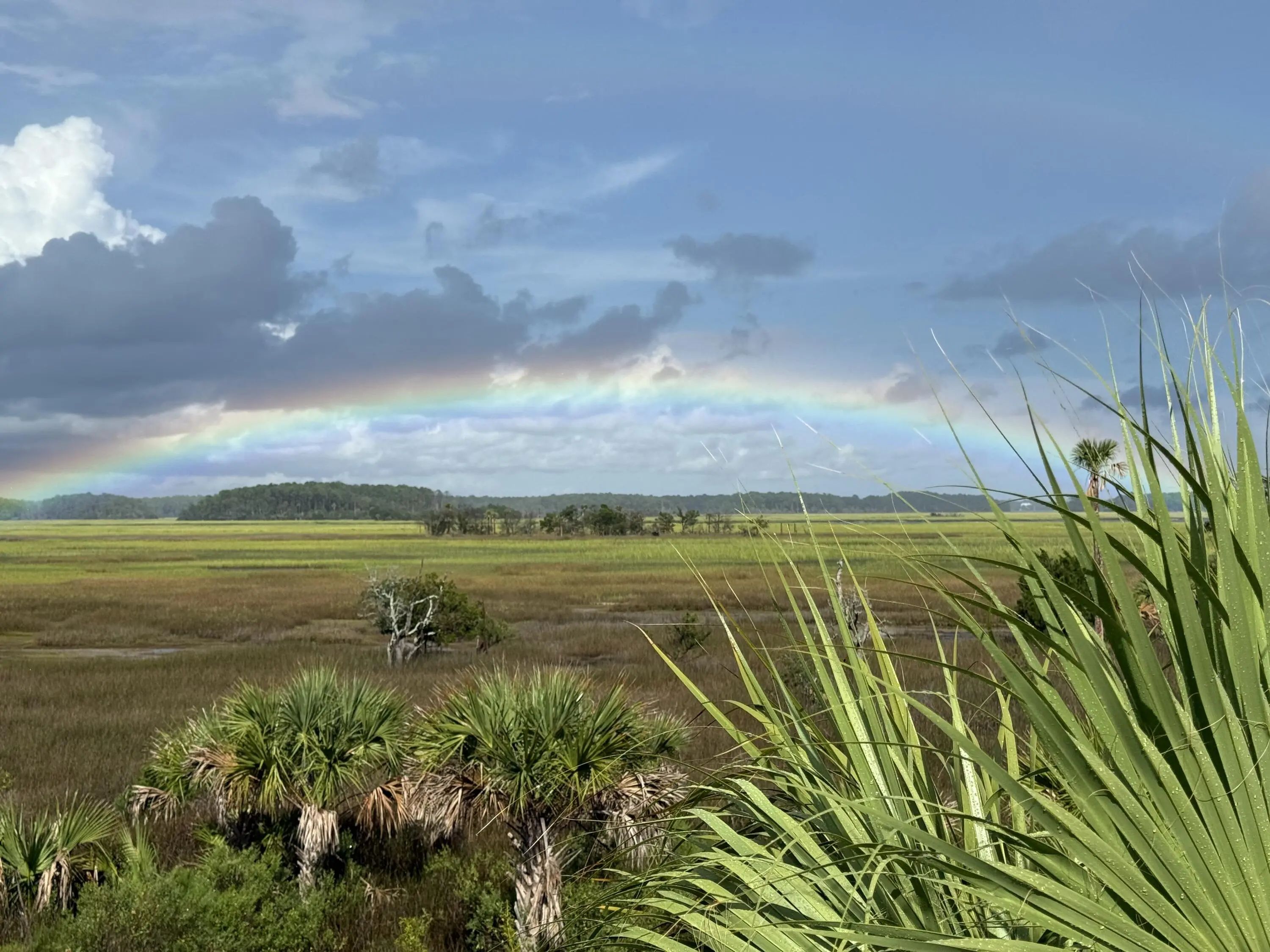 280 Captain Goddard Road, Daniel Island, SC, 29492