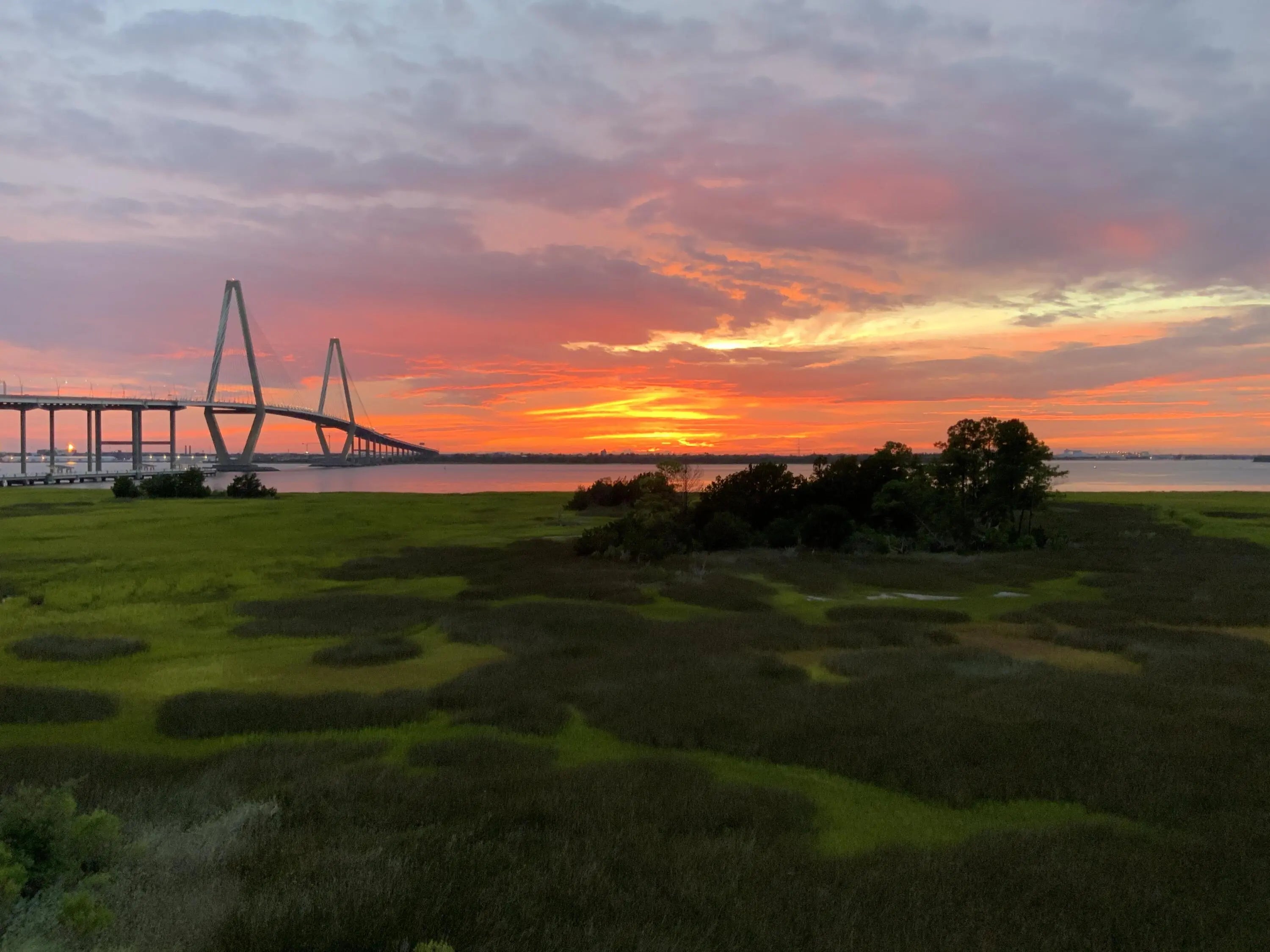 Photo of Listing #25010646