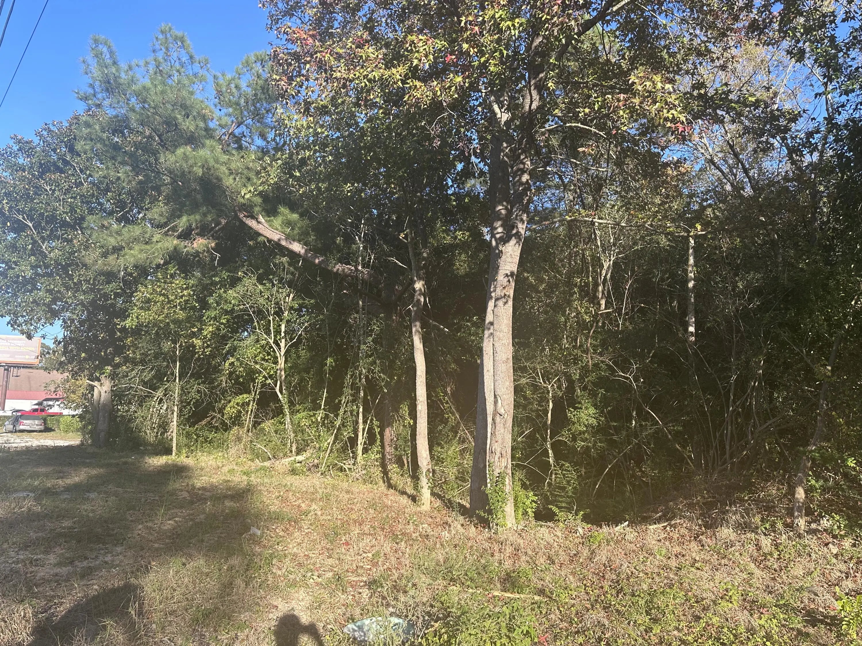 Photo of Listing #23025780