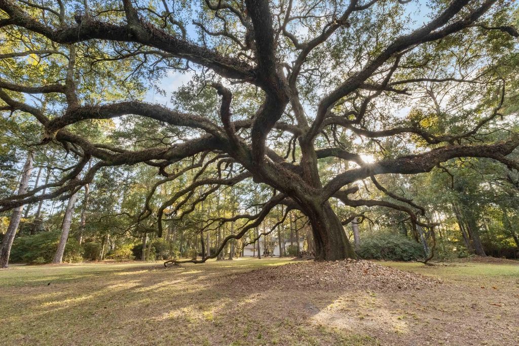 9875 Jamison Road, Summerville