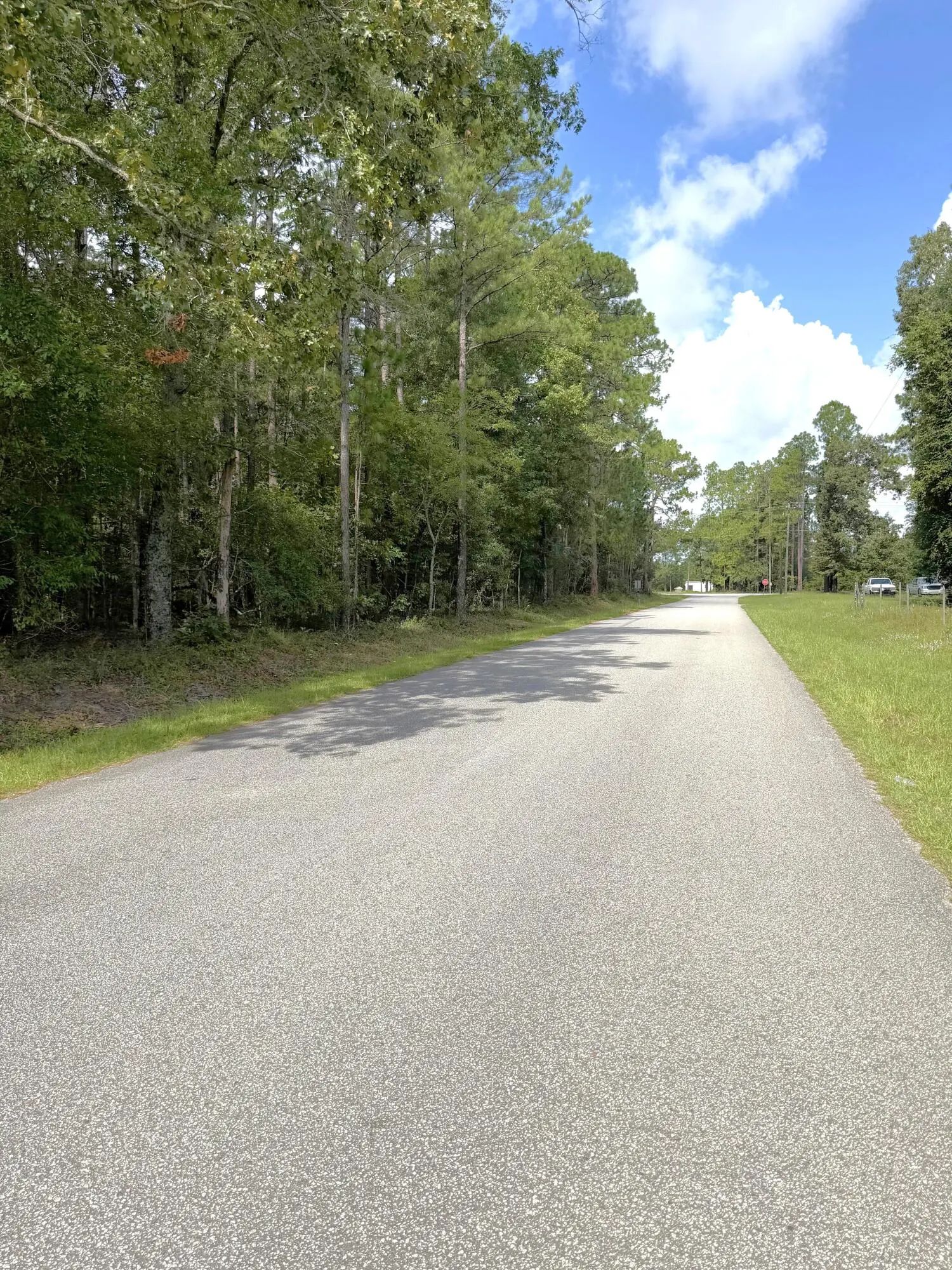 76 Honey Drive, Walterboro, SC, 29488