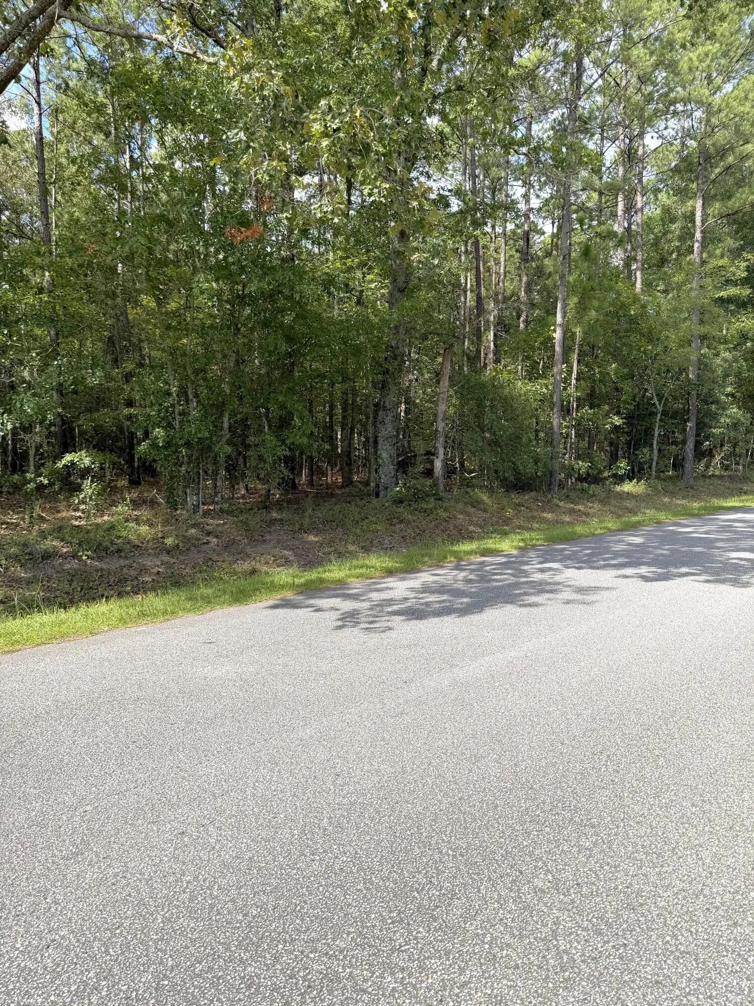 76 Honey Drive, Walterboro, SC, 29488