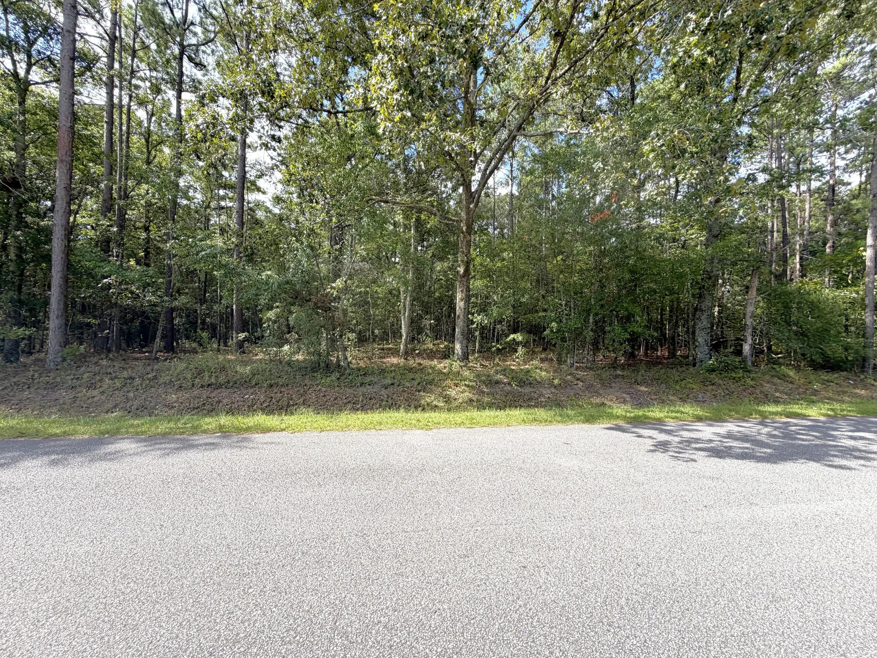 76 Honey Drive, Walterboro, SC, 29488