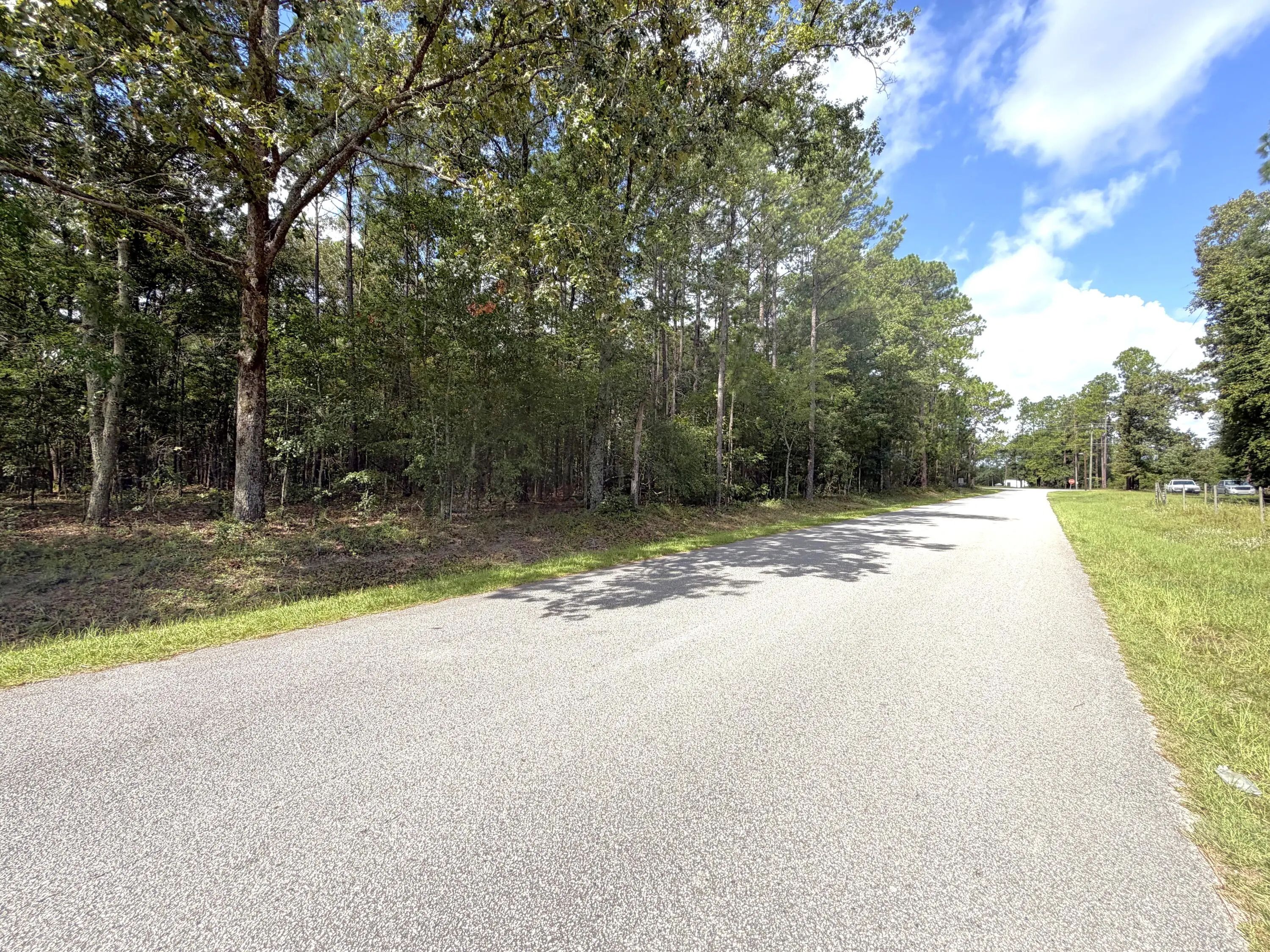 76 Honey Drive, Walterboro, SC, 29488