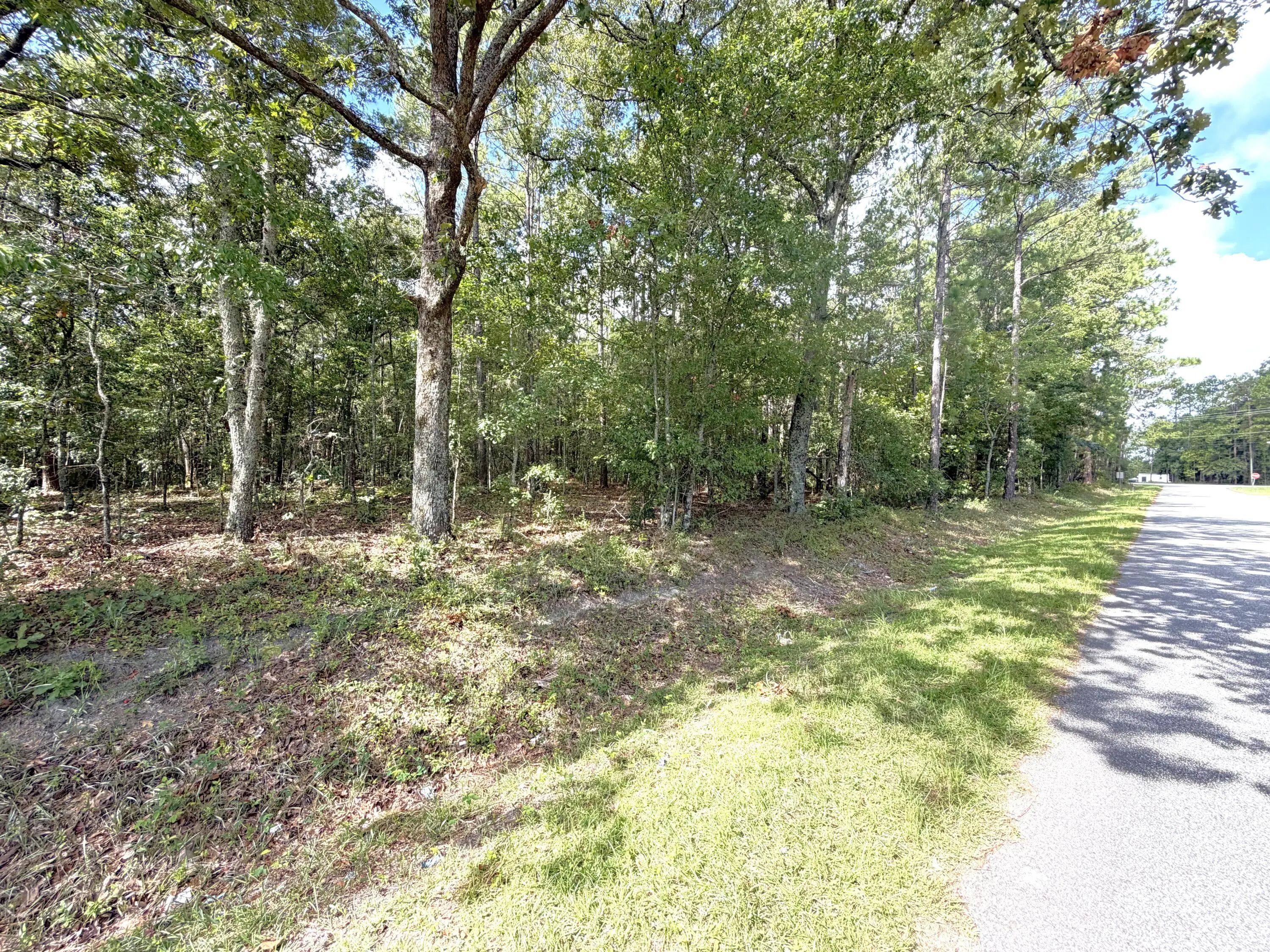 76 Honey Drive, Walterboro, SC, 29488
