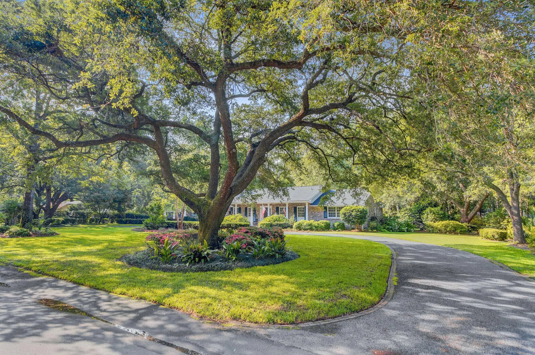 Photo of Listing #25016563