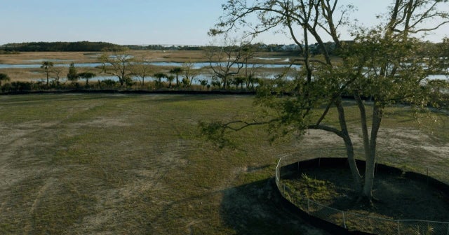 Photo of 1153 Ship Builder Street, Charleston SC