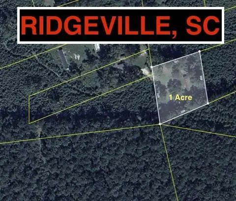 217 Joe Felder Road, Ridgeville, SC, 29472