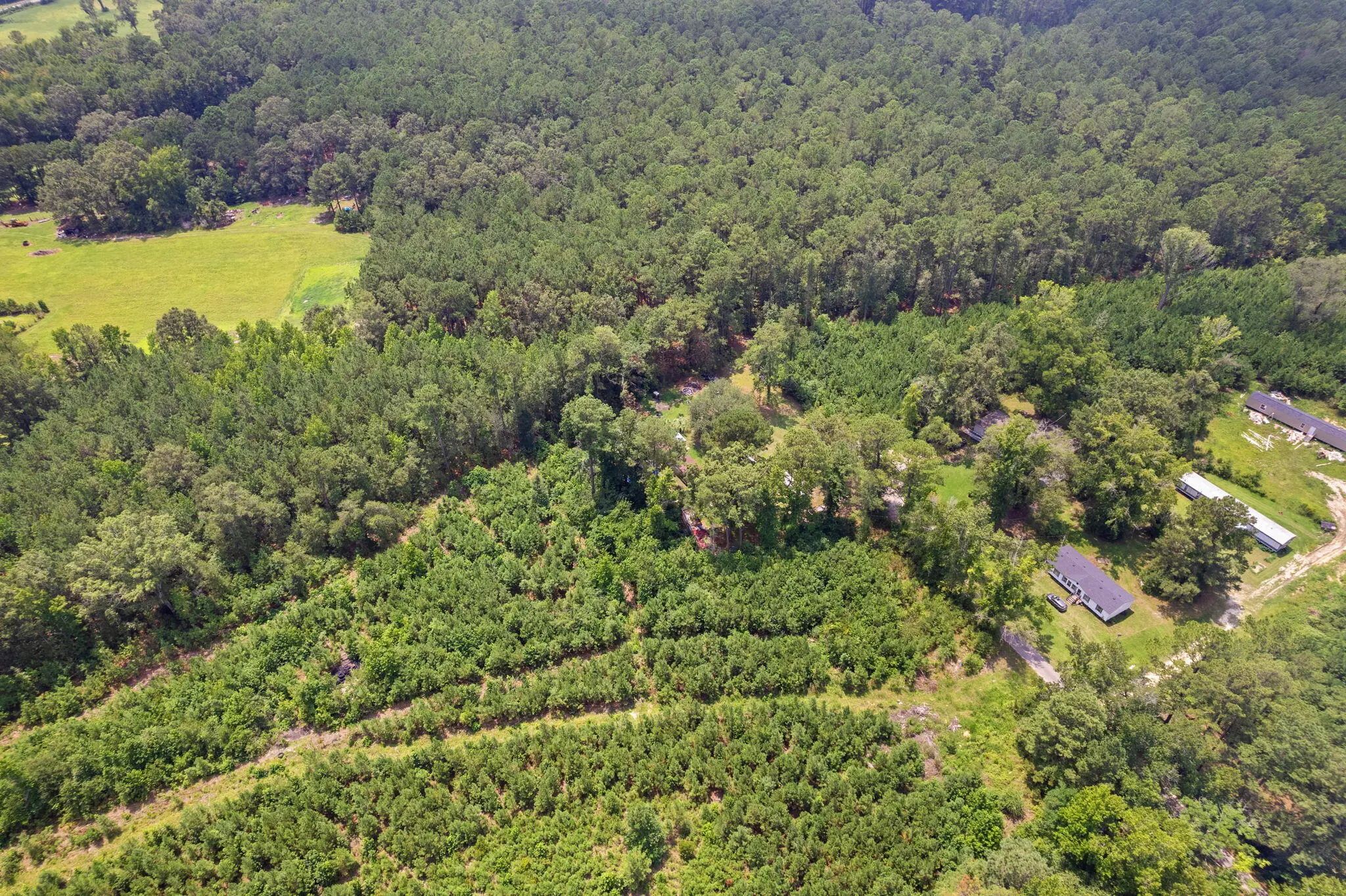 217 Joe Felder Road, Ridgeville, SC, 29472