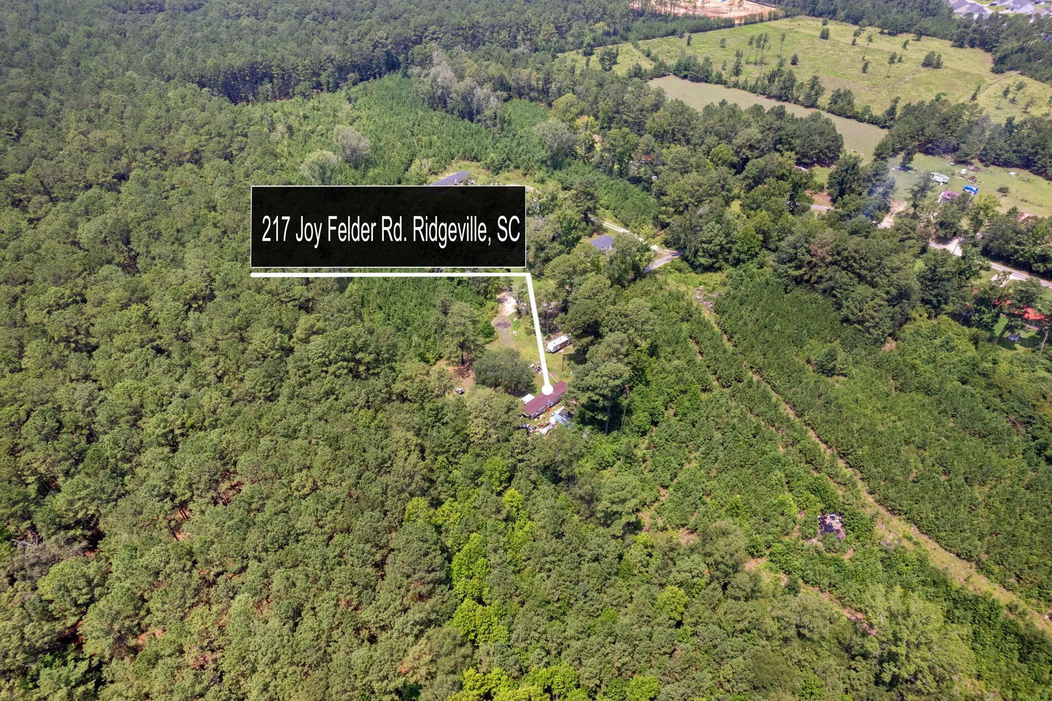 217 Joe Felder Road, Ridgeville, SC, 29472