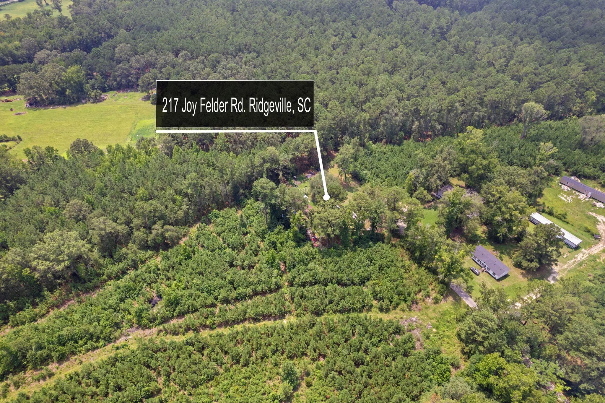 217 Joe Felder Road, Ridgeville, SC, 29472