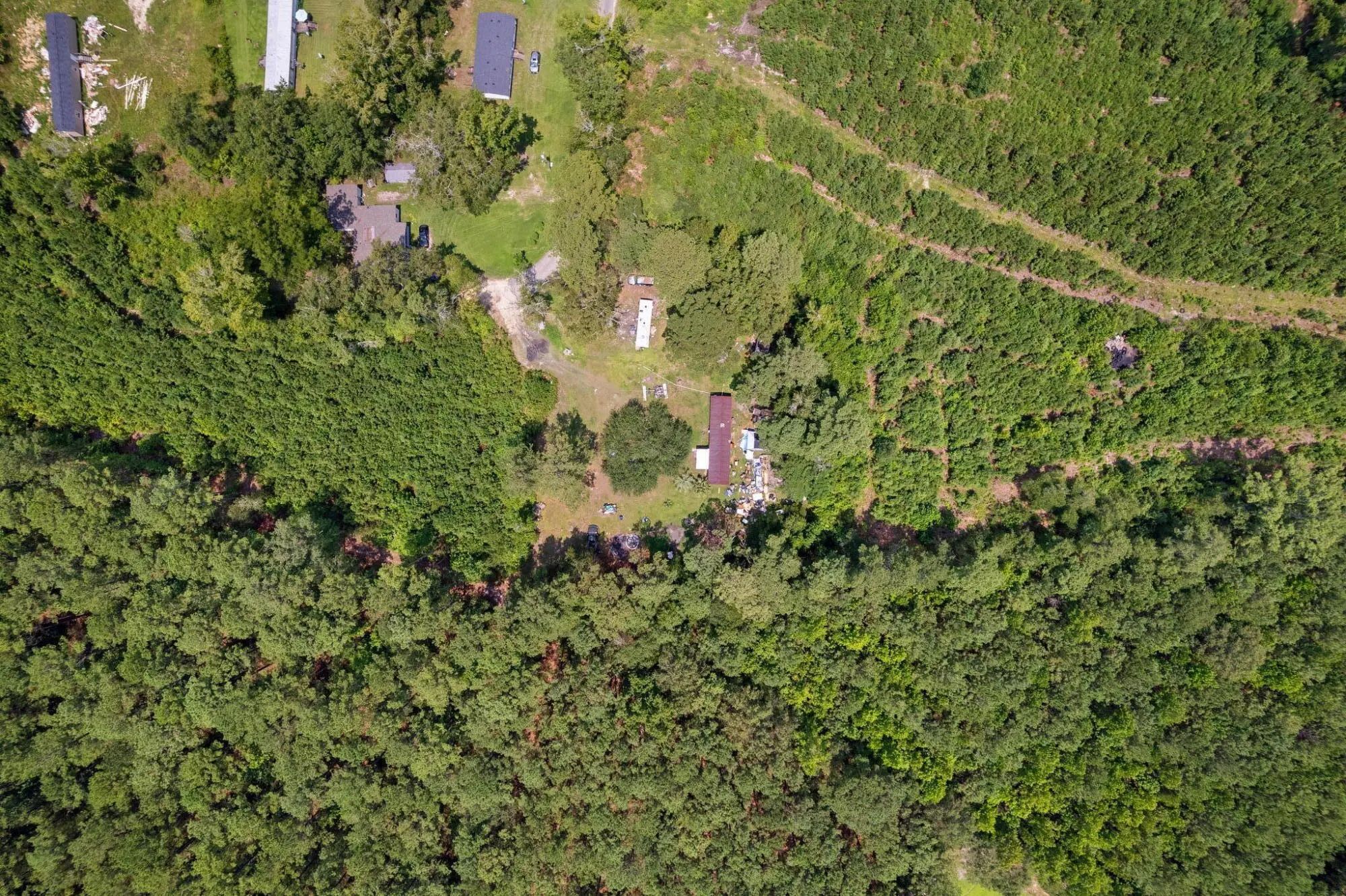 217 Joe Felder Road, Ridgeville, SC, 29472